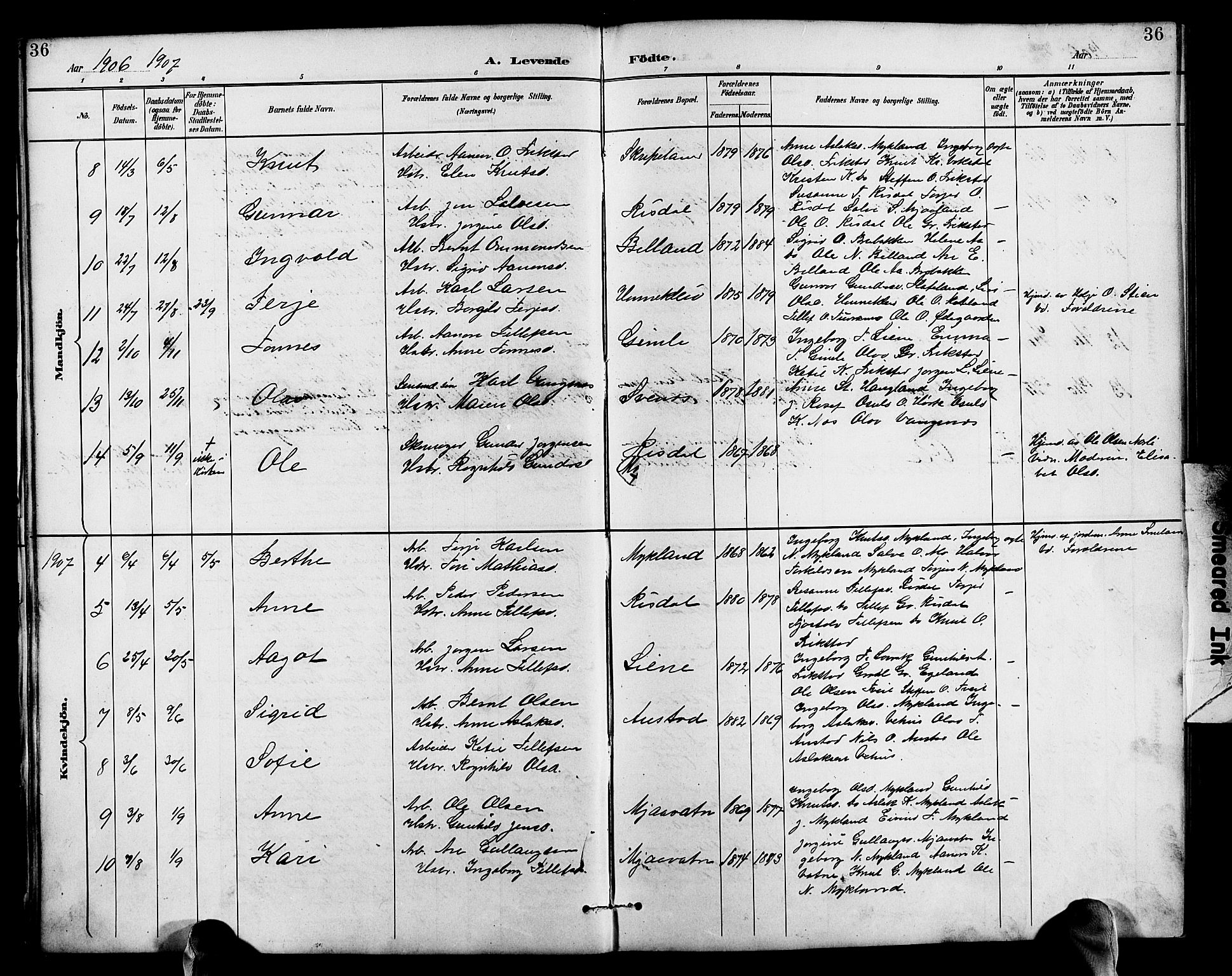 Herefoss sokneprestkontor, AV/SAK-1111-0019/F/Fb/Fbc/L0003: Parish register (copy) no. B 3, 1887-1915, p. 36