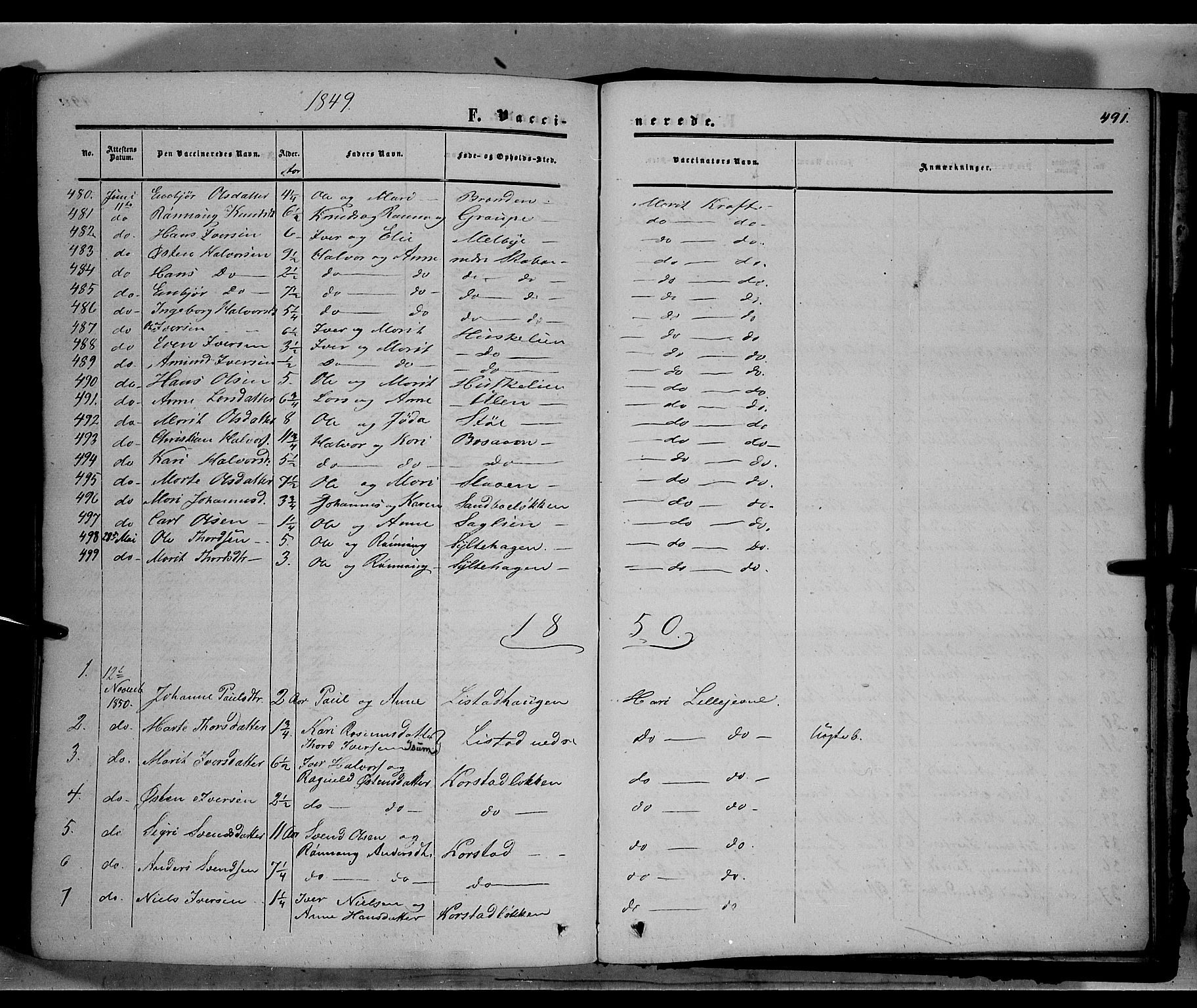 Sør-Fron prestekontor, SAH/PREST-010/H/Ha/Haa/L0001: Parish register (official) no. 1, 1849-1863, p. 491