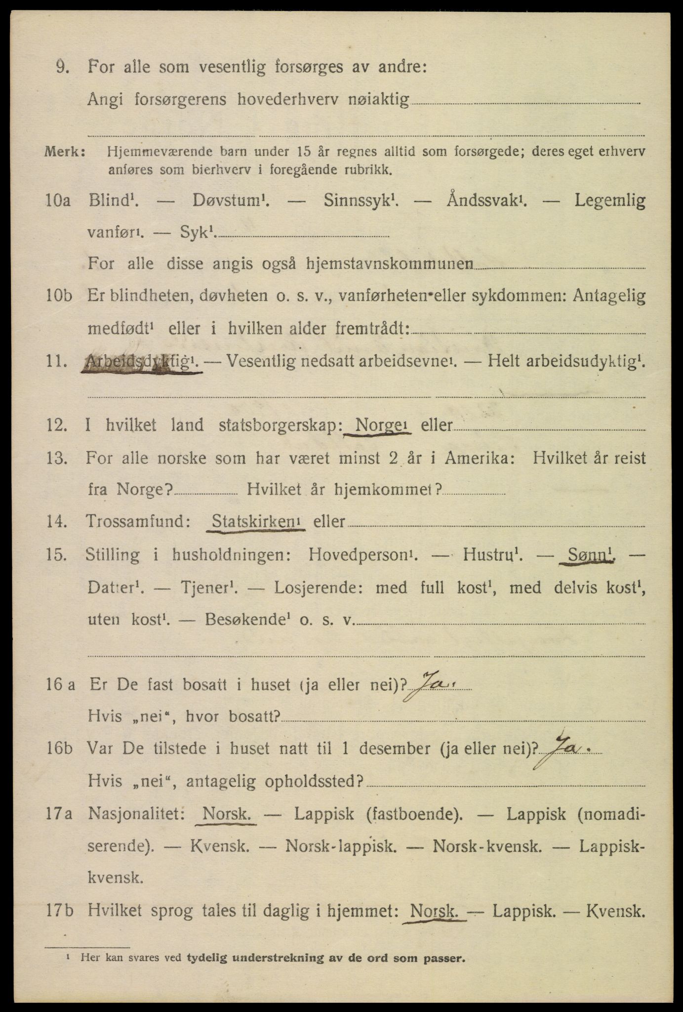 SAT, 1920 census for Saltdal, 1920, p. 1234