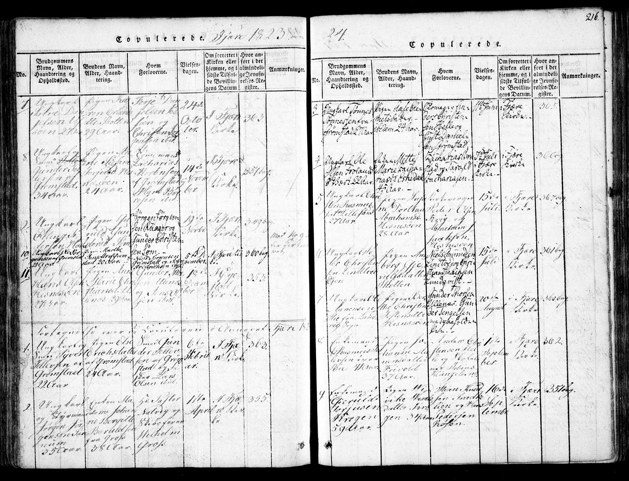 Fjære sokneprestkontor, AV/SAK-1111-0011/F/Fb/L0007: Parish register (copy) no. B 7, 1816-1826, p. 216