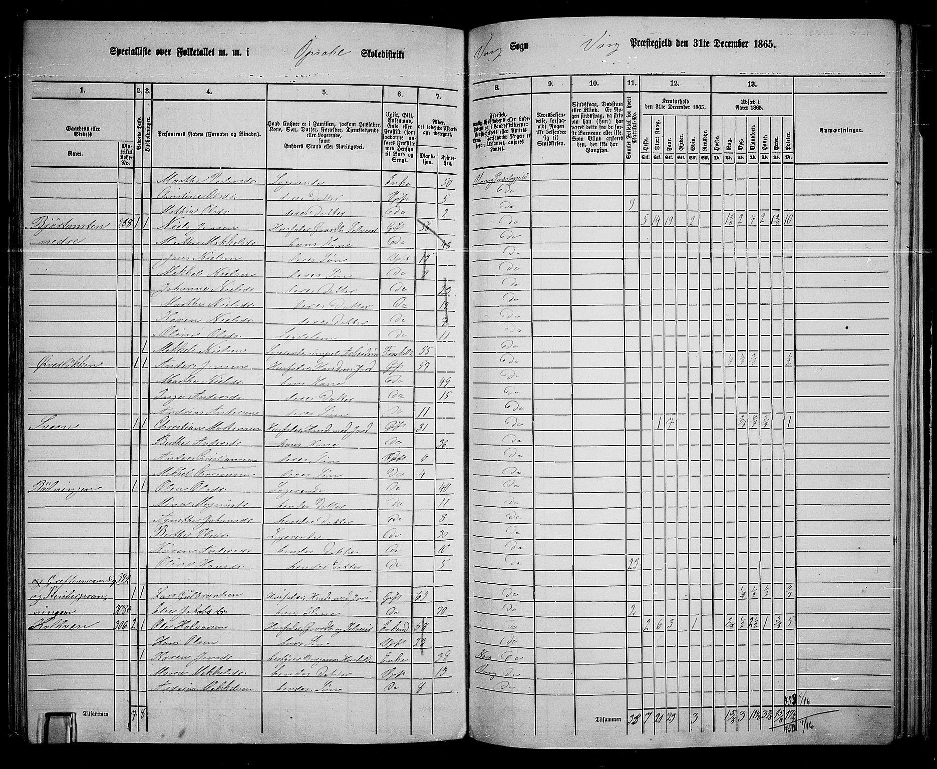 RA, 1865 census for Vang/Vang og Furnes, 1865, p. 291