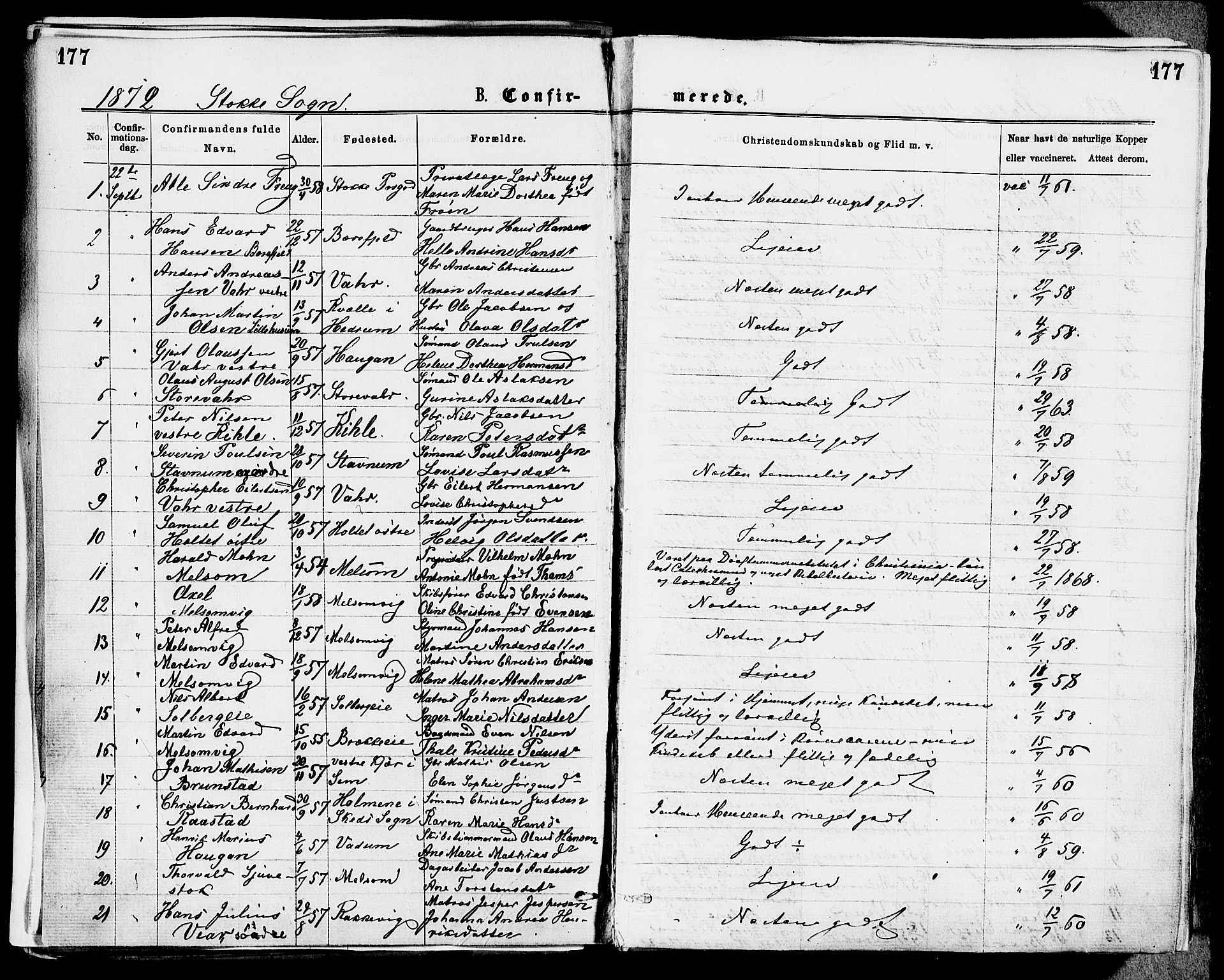 Stokke kirkebøker, SAKO/A-320/F/Fa/L0009: Parish register (official) no. I 9, 1872-1883, p. 177