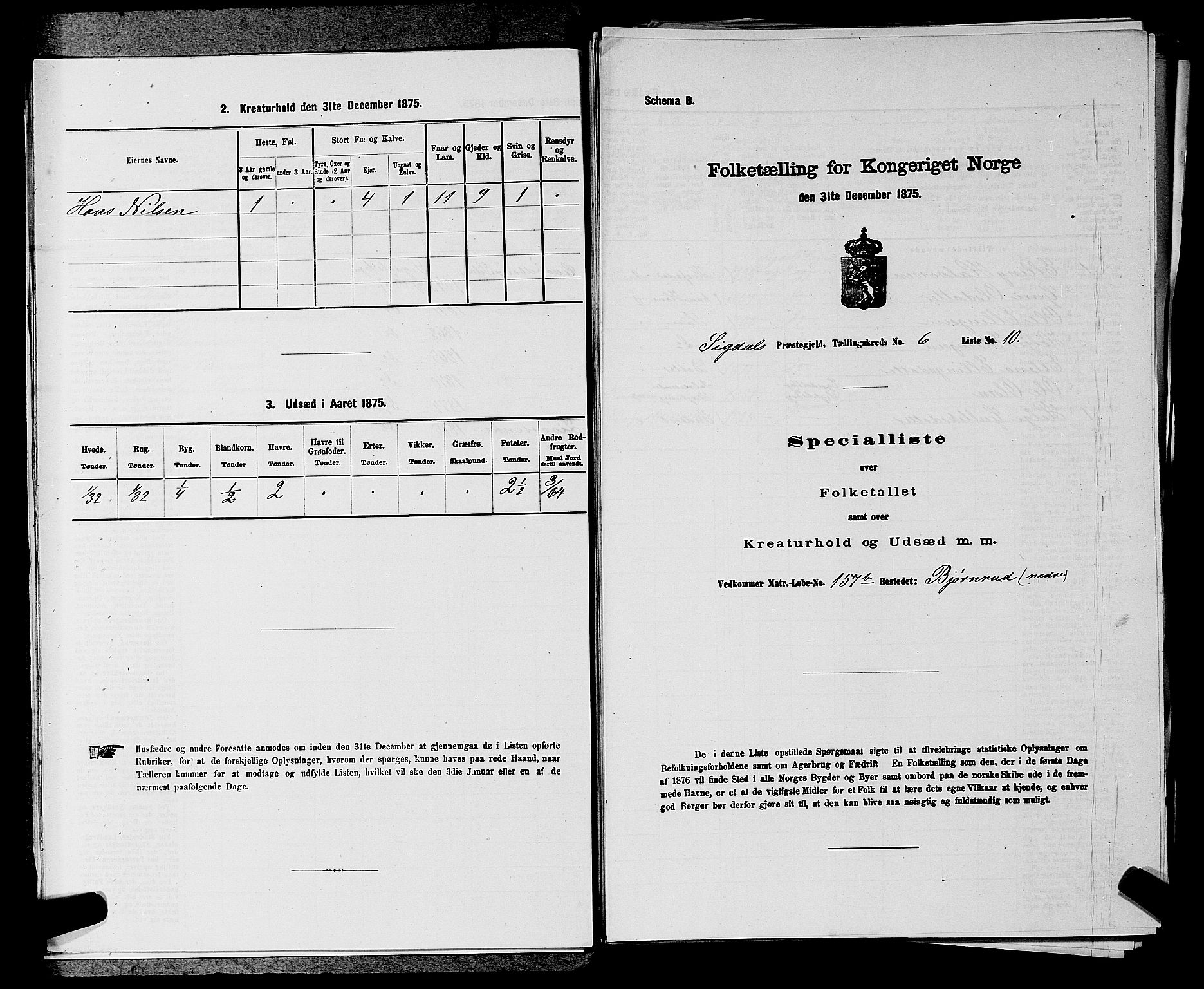 SAKO, 1875 census for 0621P Sigdal, 1875, p. 869