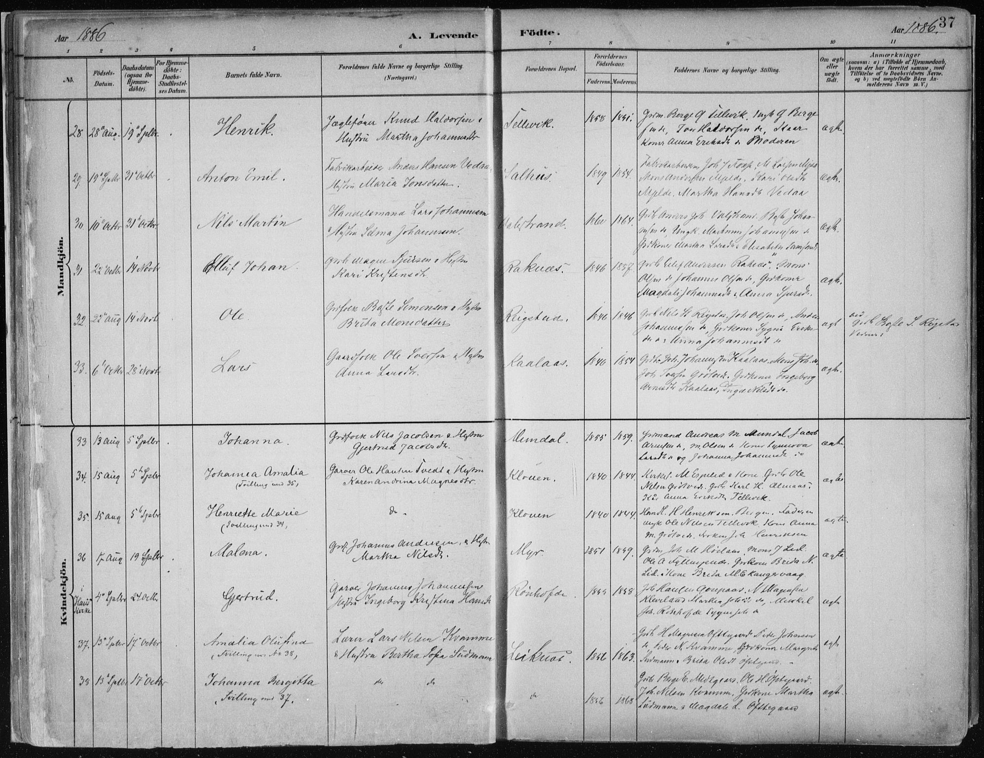 Hamre sokneprestembete, SAB/A-75501/H/Ha/Haa/Haab/L0001: Parish register (official) no. B  1, 1882-1905, p. 37