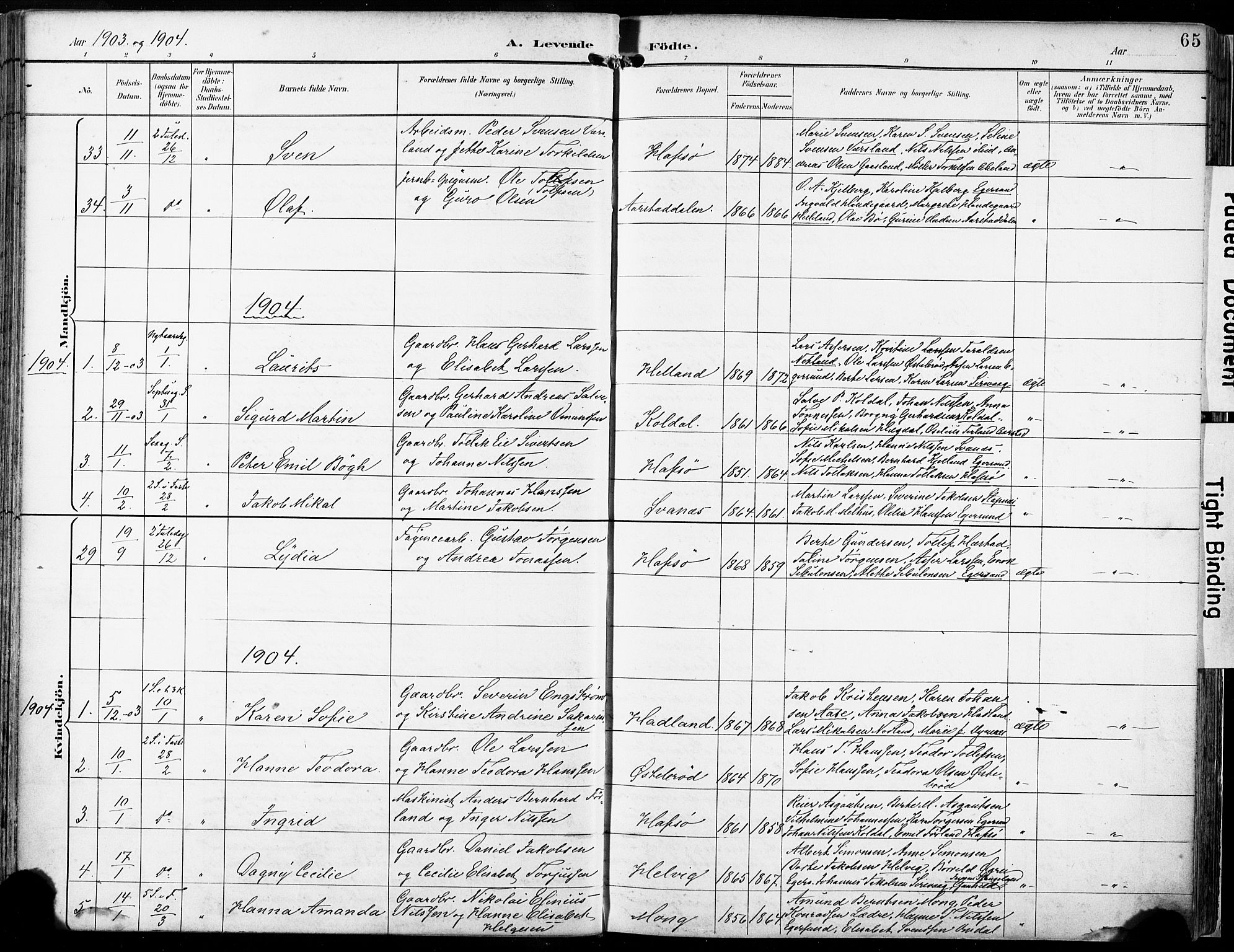 Eigersund sokneprestkontor, SAST/A-101807/S08/L0018: Parish register (official) no. A 17, 1892-1905, p. 65