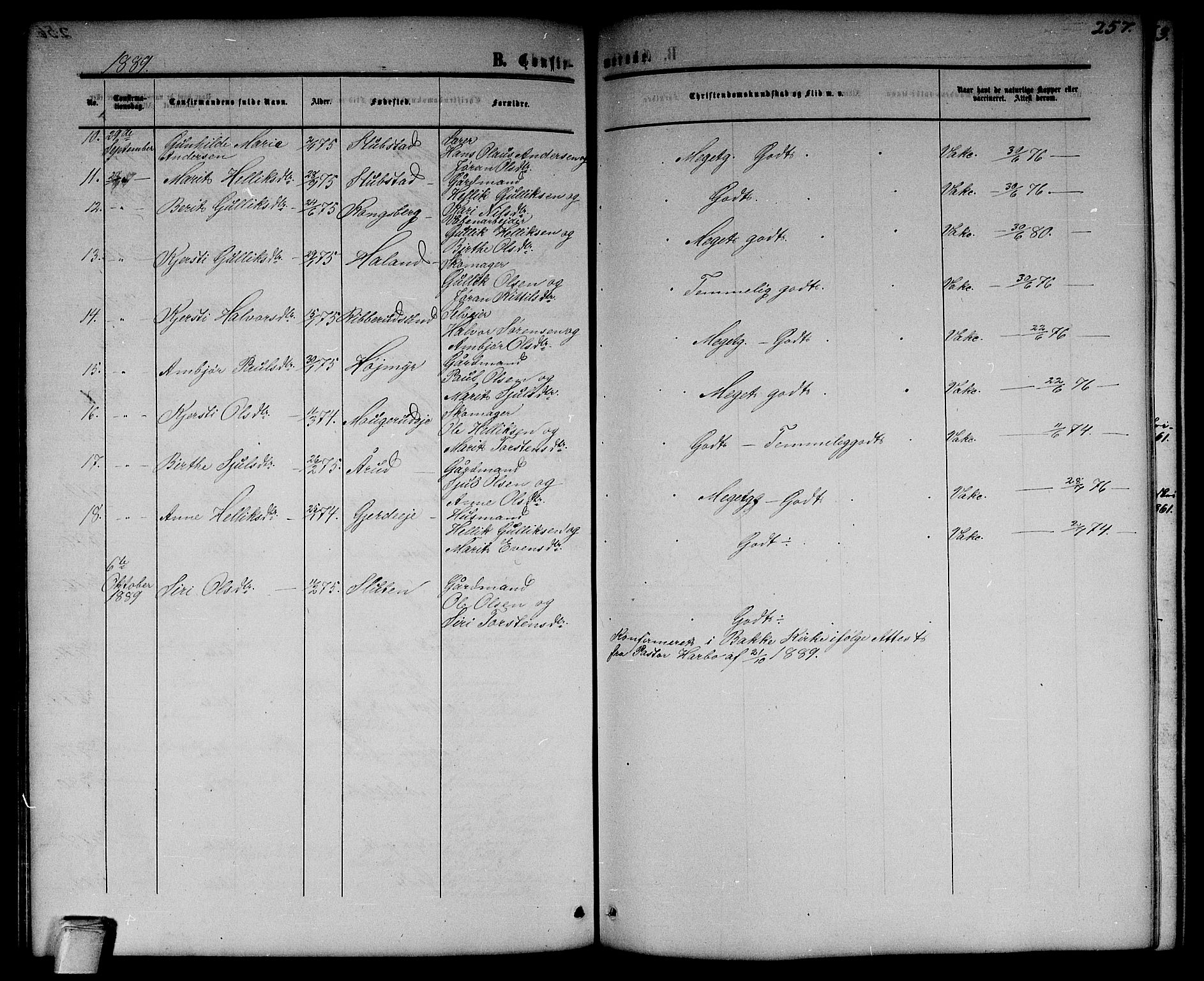 Flesberg kirkebøker, SAKO/A-18/G/Ga/L0003: Parish register (copy) no. I 3, 1861-1889, p. 257