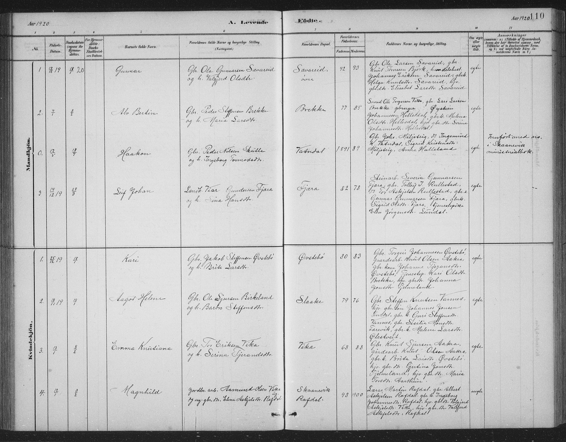 Skånevik sokneprestembete, AV/SAB-A-77801/H/Hab: Parish register (copy) no. B 2, 1881-1920, p. 110