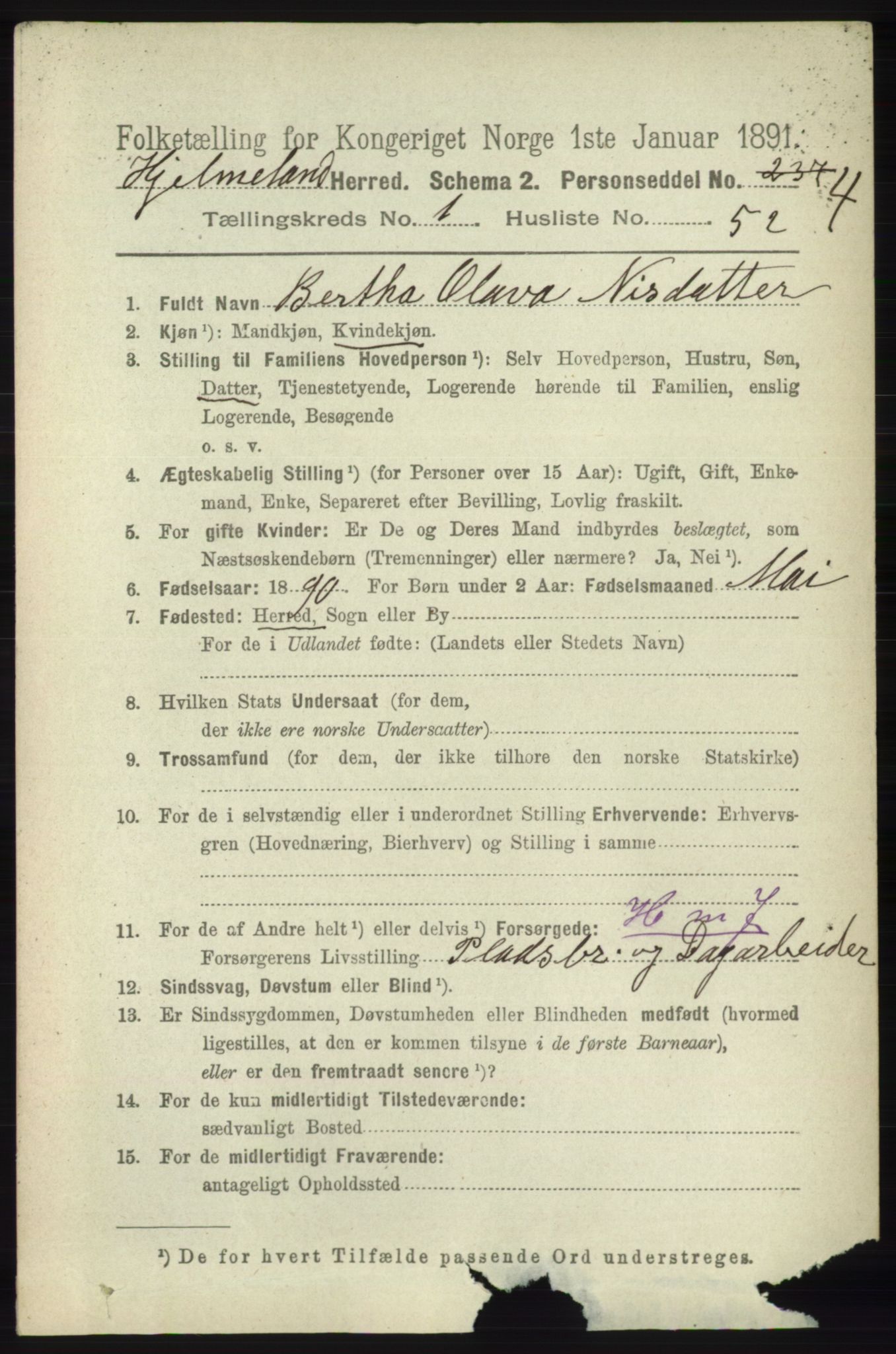 RA, 1891 census for 1133 Hjelmeland, 1891, p. 317