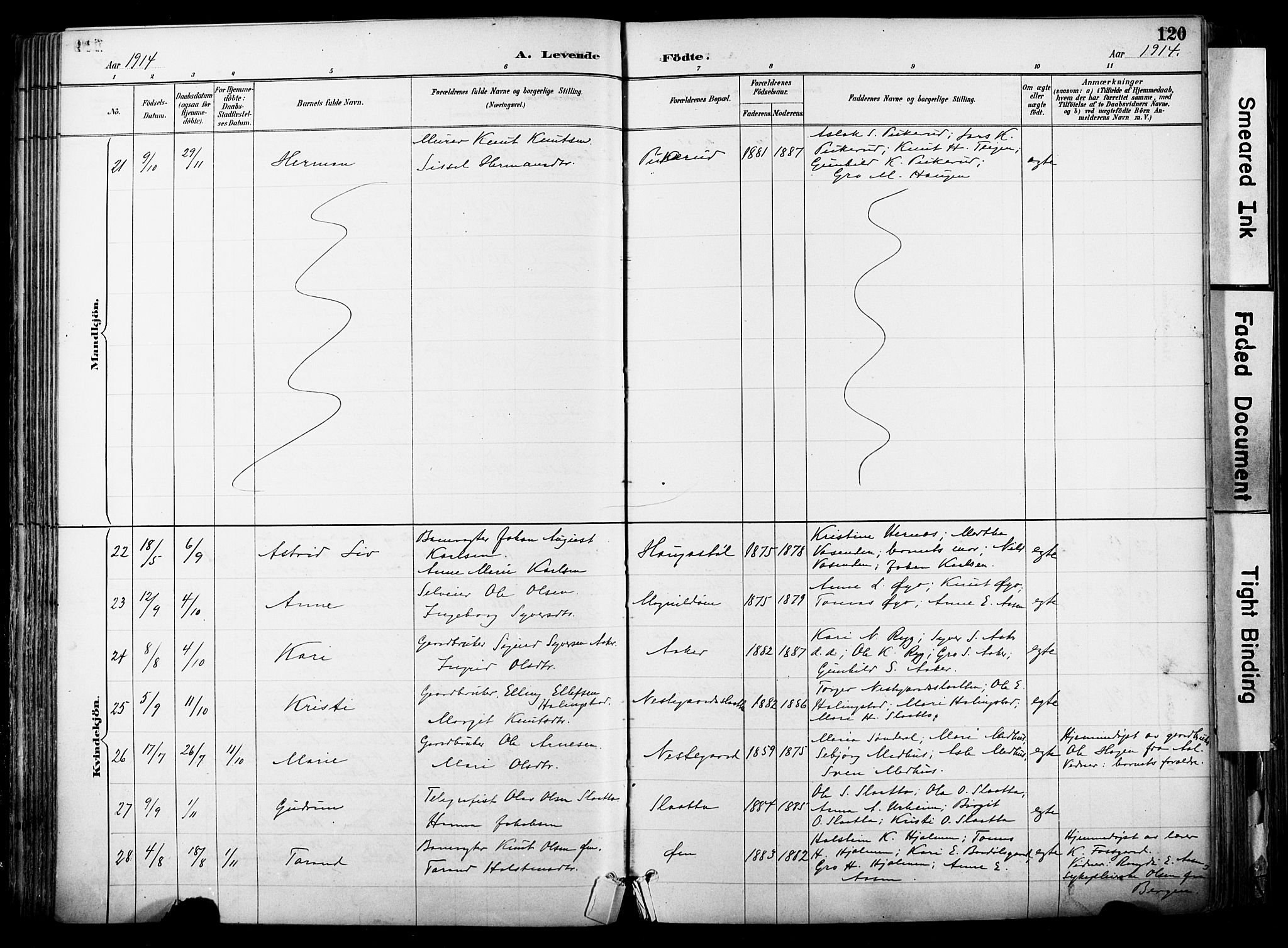 Hol kirkebøker, AV/SAKO-A-227/F/Fa/L0003: Parish register (official) no. I 3, 1887-1918, p. 120