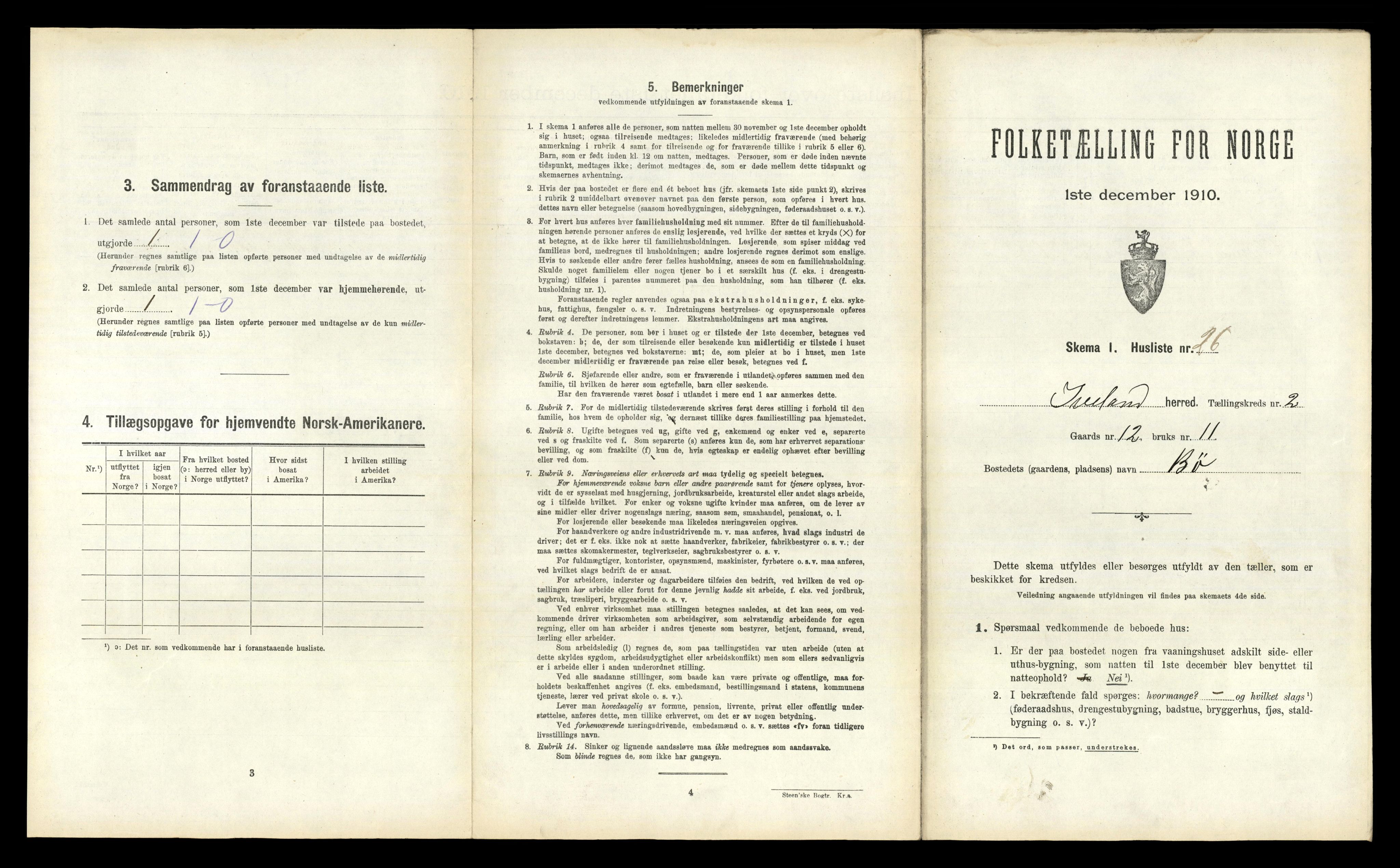 RA, 1910 census for Iveland, 1910, p. 117