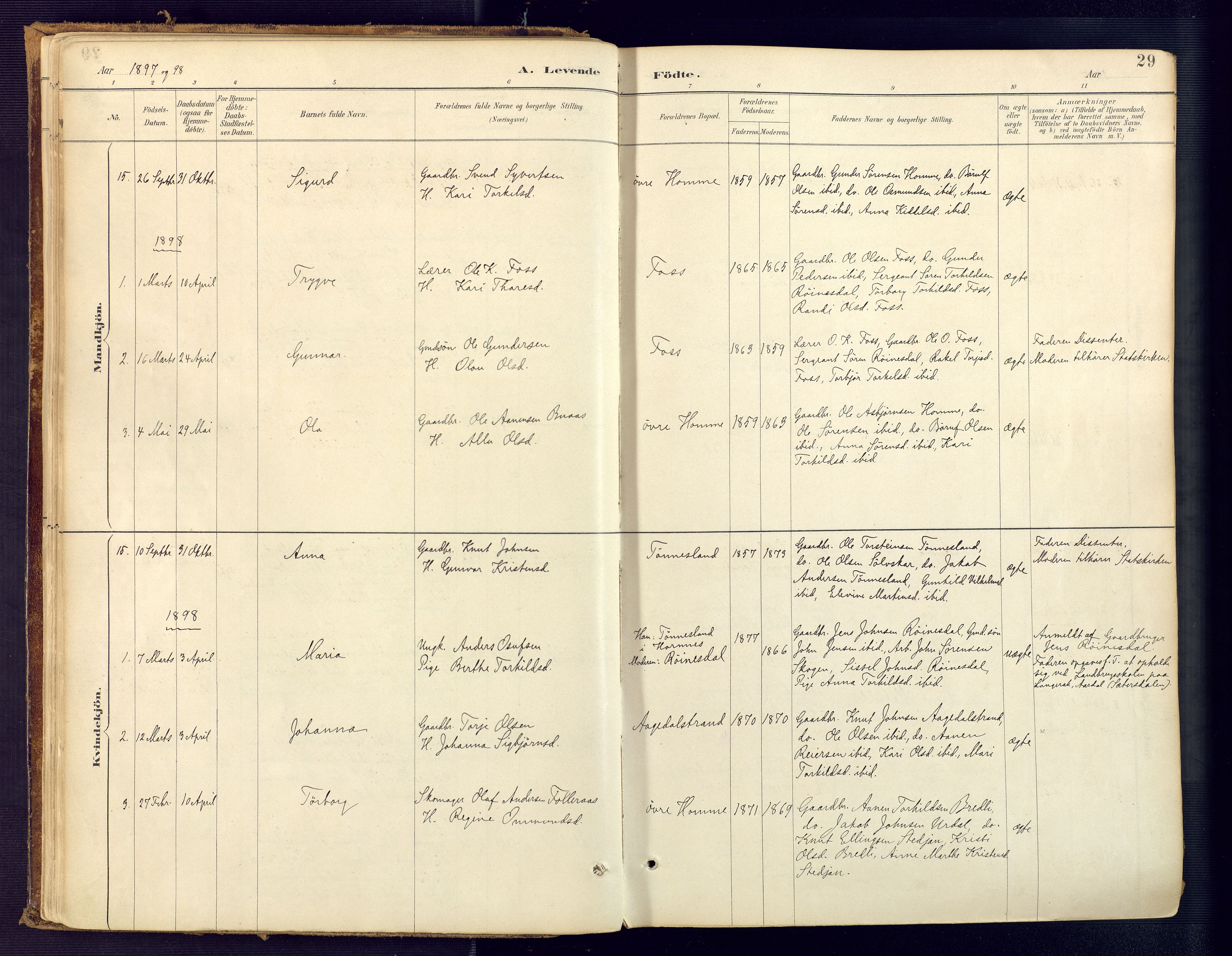 Bjelland sokneprestkontor, SAK/1111-0005/F/Fa/Faa/L0004: Parish register (official) no. A 4, 1887-1923, p. 29