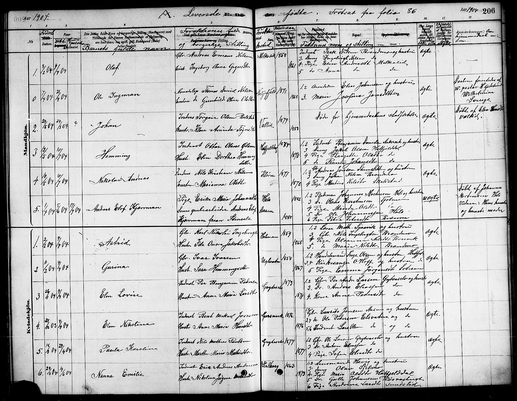 Ministerialprotokoller, klokkerbøker og fødselsregistre - Nordland, SAT/A-1459/823/L0330: Parish register (copy) no. 823C02, 1879-1916, p. 206