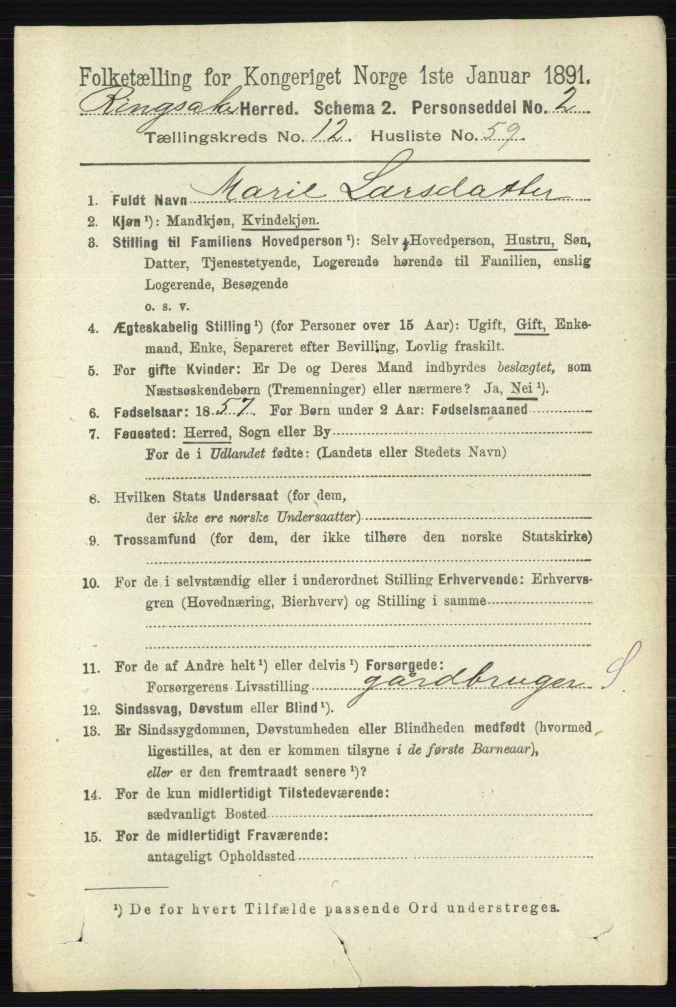 RA, 1891 census for 0412 Ringsaker, 1891, p. 7091