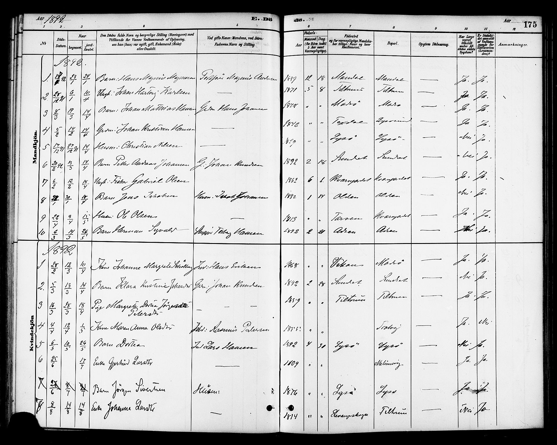 Ministerialprotokoller, klokkerbøker og fødselsregistre - Sør-Trøndelag, AV/SAT-A-1456/654/L0663: Parish register (official) no. 654A01, 1880-1894, p. 175