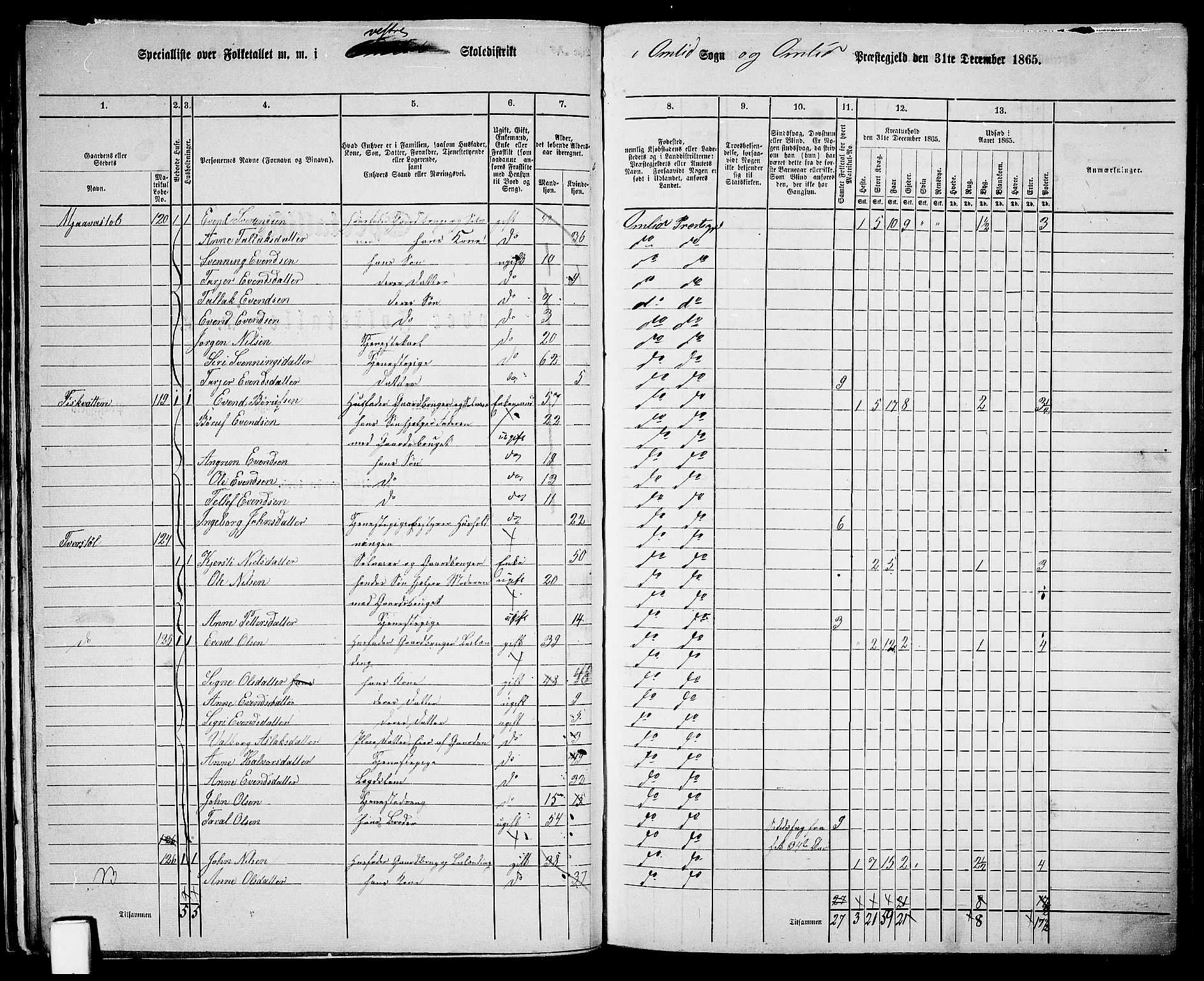 RA, 1865 census for Åmli, 1865, p. 40