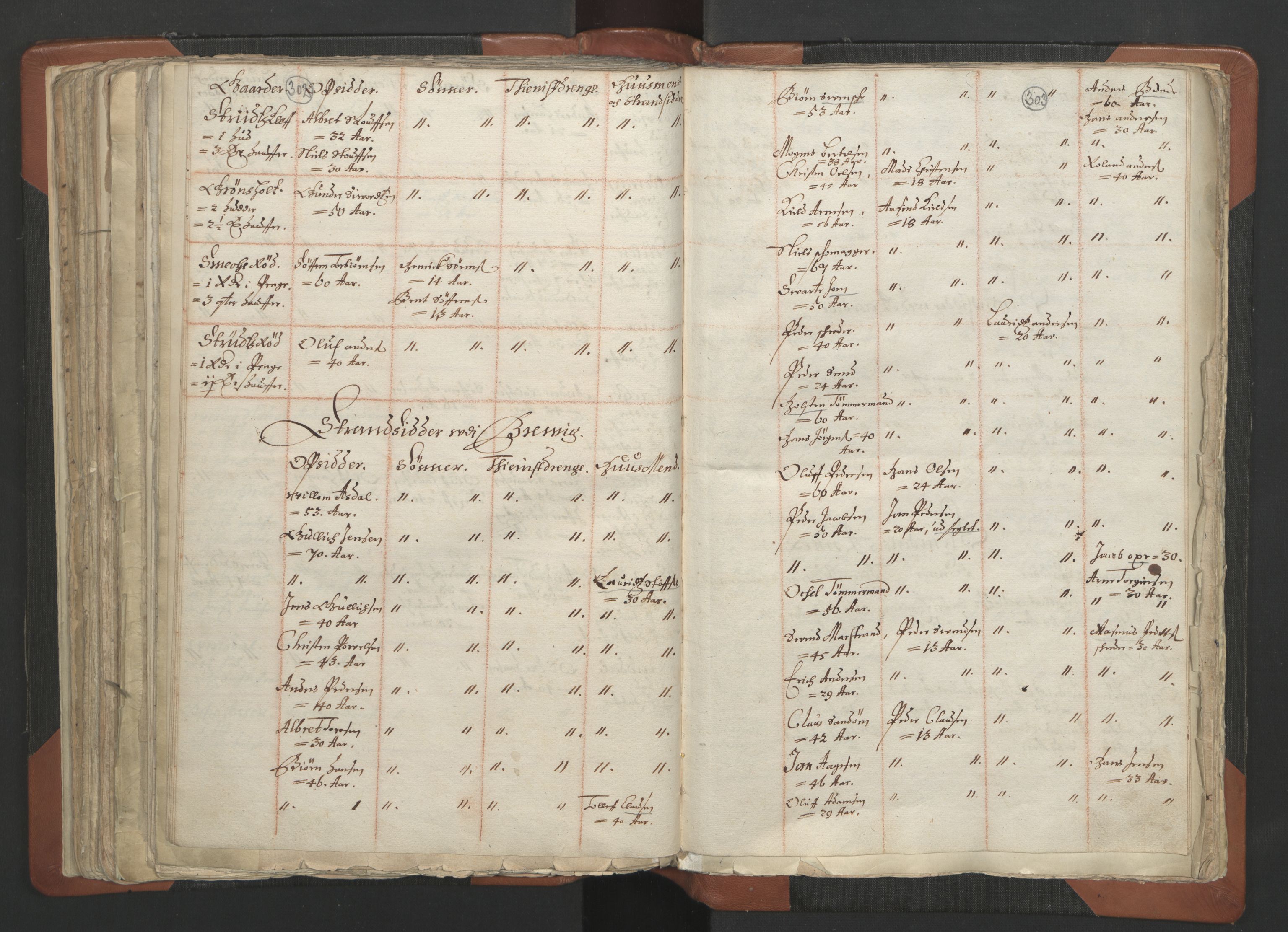 RA, Vicar's Census 1664-1666, no. 12: Øvre Telemark deanery, Nedre Telemark deanery and Bamble deanery, 1664-1666, p. 302-303