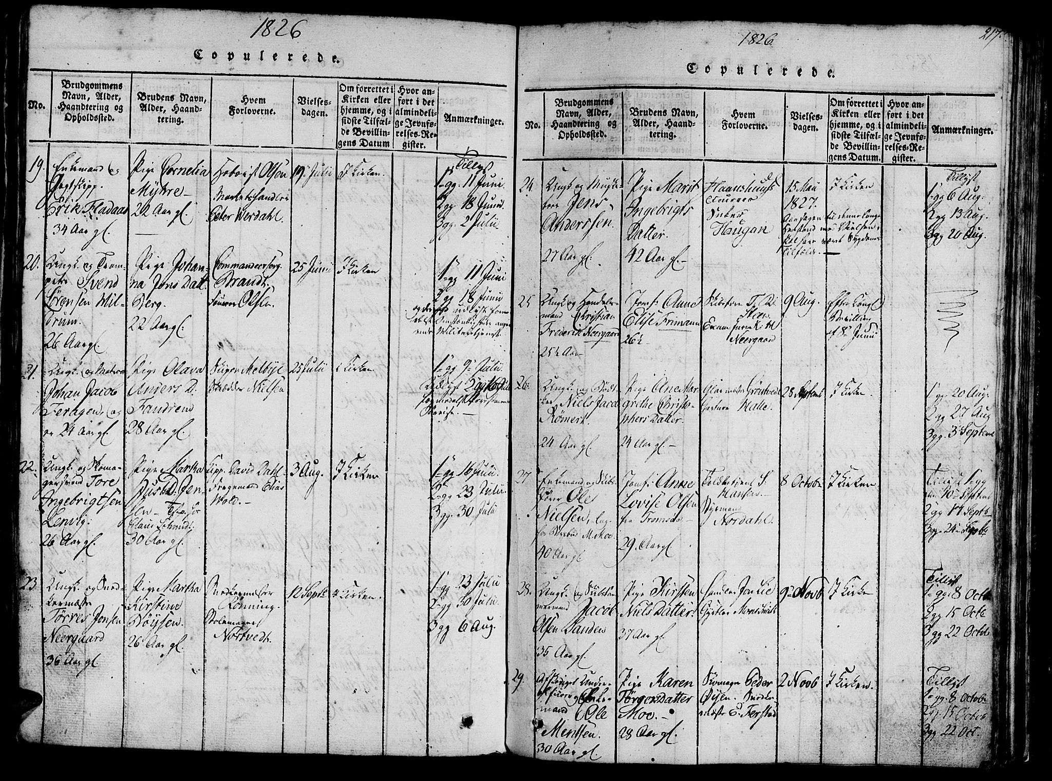 Ministerialprotokoller, klokkerbøker og fødselsregistre - Sør-Trøndelag, SAT/A-1456/602/L0135: Parish register (copy) no. 602C03, 1815-1832, p. 217