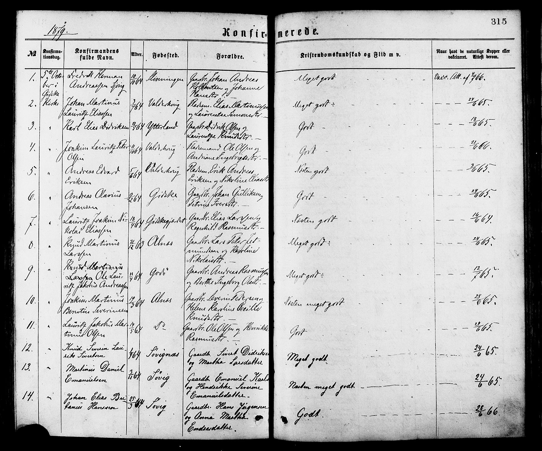 Ministerialprotokoller, klokkerbøker og fødselsregistre - Møre og Romsdal, AV/SAT-A-1454/528/L0400: Parish register (official) no. 528A11, 1871-1879, p. 315