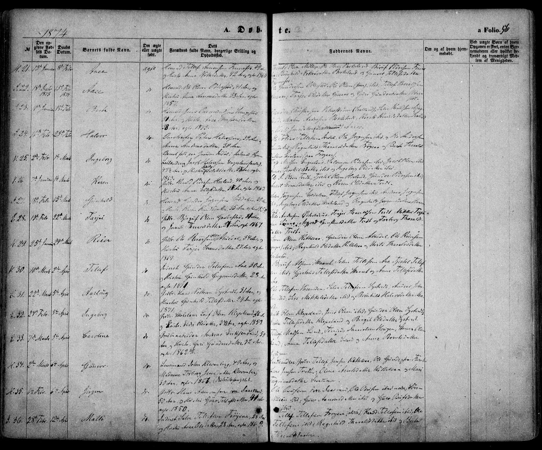 Evje sokneprestkontor, AV/SAK-1111-0008/F/Fa/Faa/L0006: Parish register (official) no. A 6, 1866-1884, p. 56