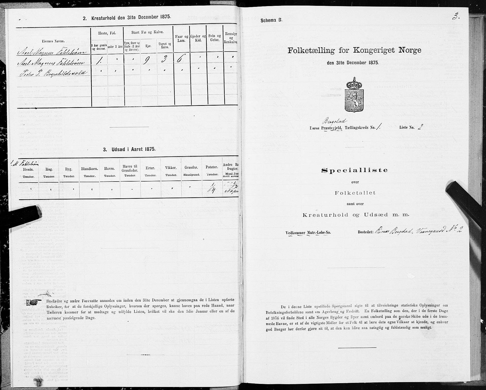 SAT, 1875 census for 1640P Røros, 1875, p. 1003