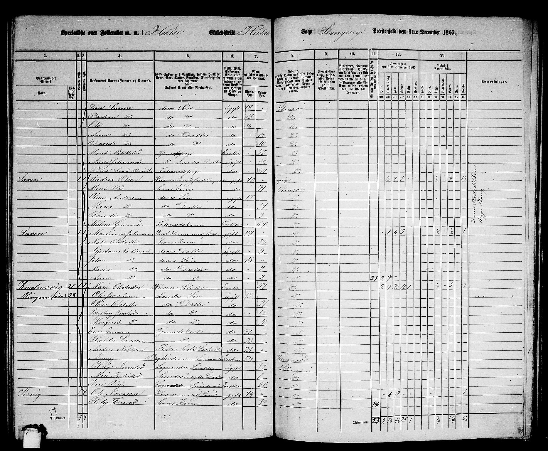 RA, 1865 census for Stangvik, 1865, p. 138