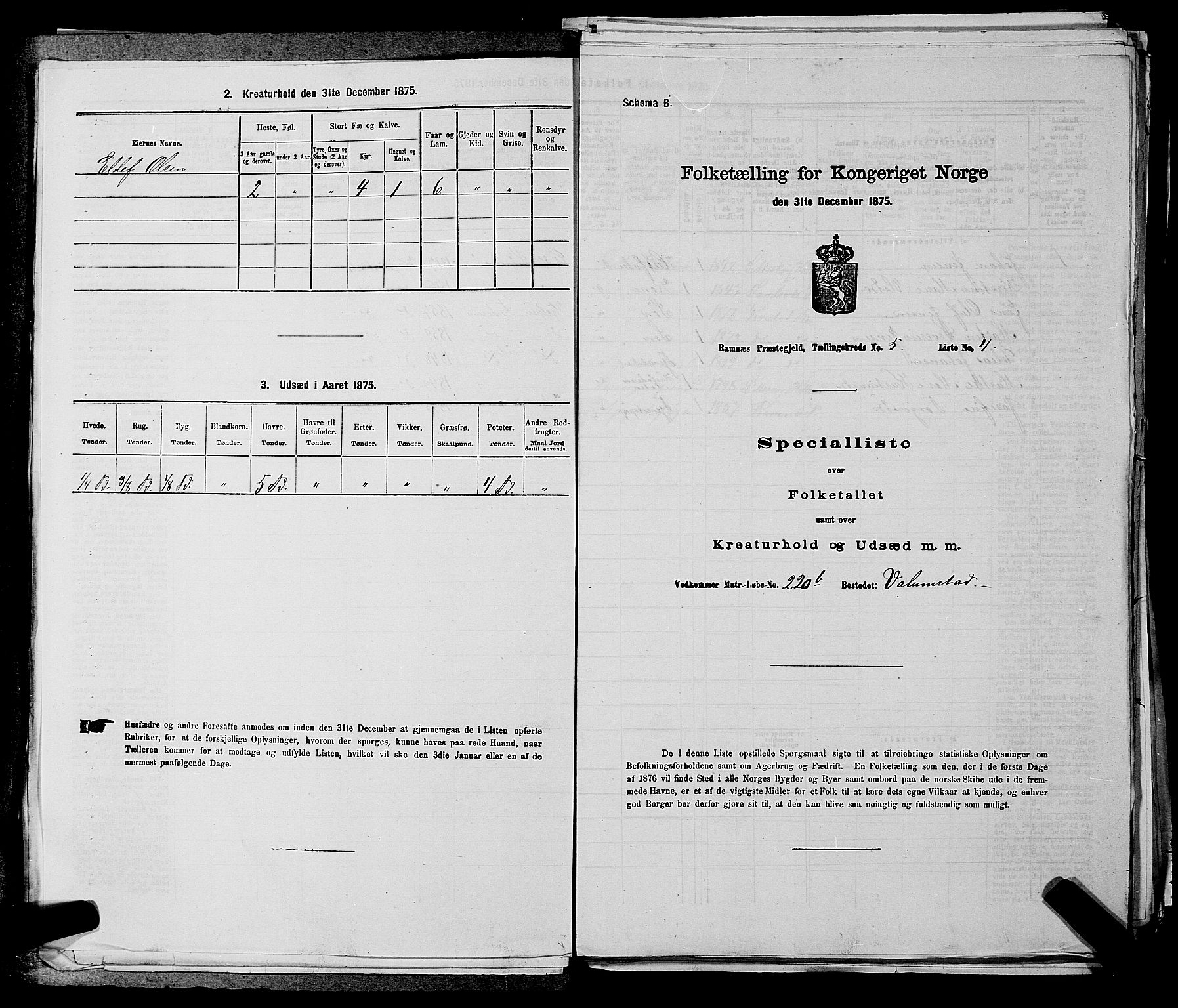 SAKO, 1875 census for 0718P Ramnes, 1875, p. 736