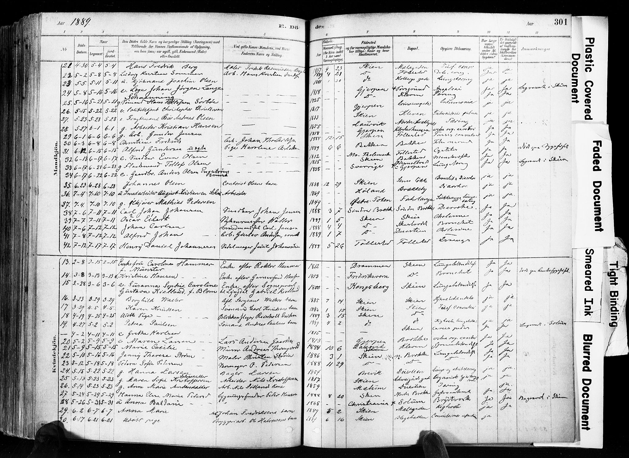 Skien kirkebøker, SAKO/A-302/F/Fa/L0009: Parish register (official) no. 9, 1878-1890, p. 301