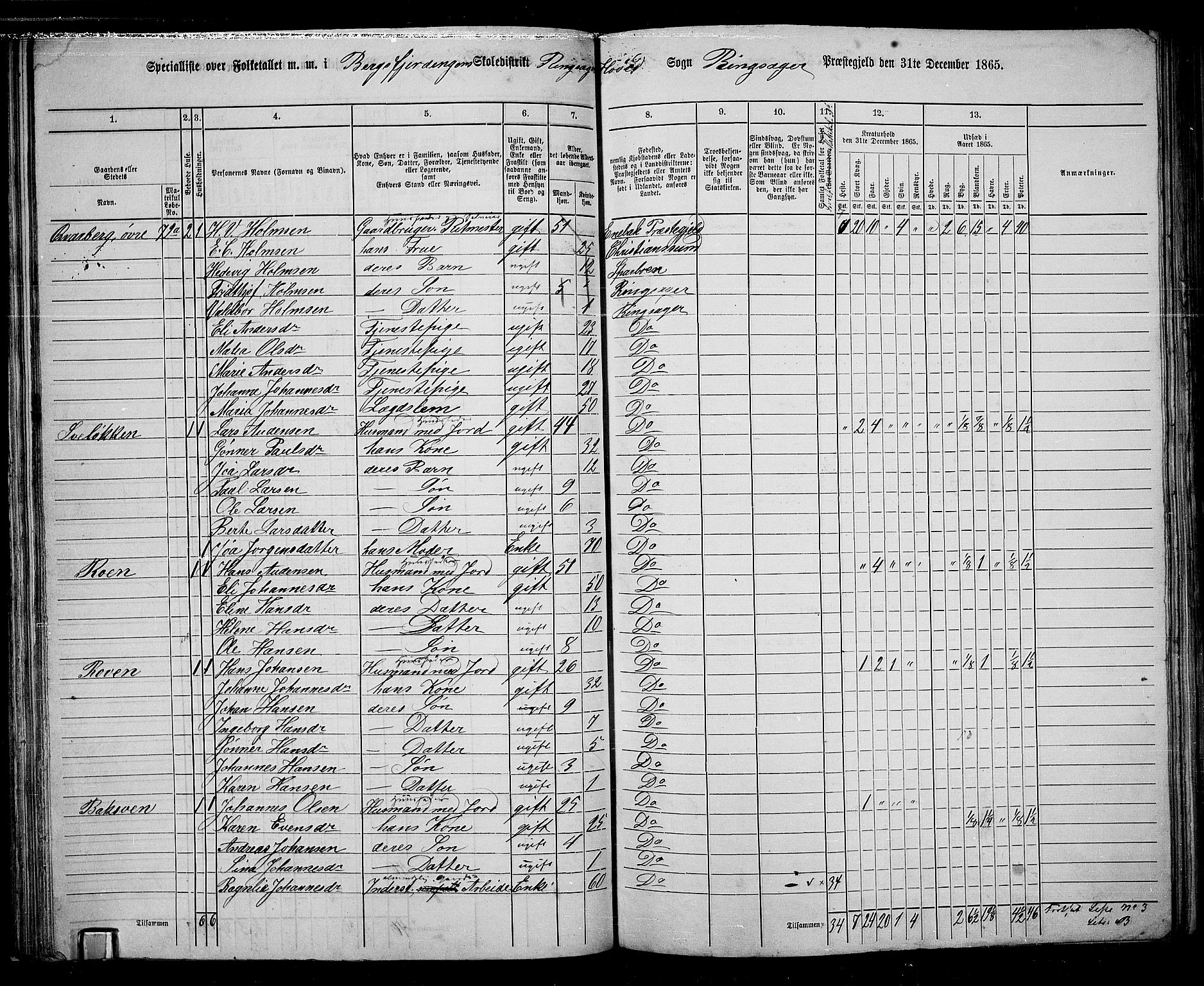 RA, 1865 census for Ringsaker, 1865, p. 85