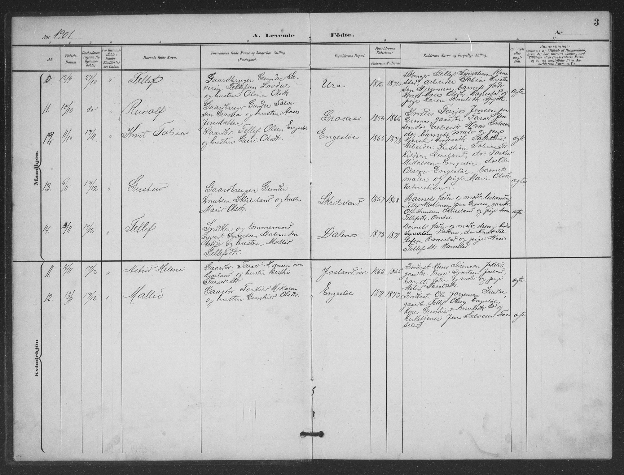 Evje sokneprestkontor, AV/SAK-1111-0008/F/Fb/Fbc/L0005: Parish register (copy) no. B 5, 1901-1935, p. 3
