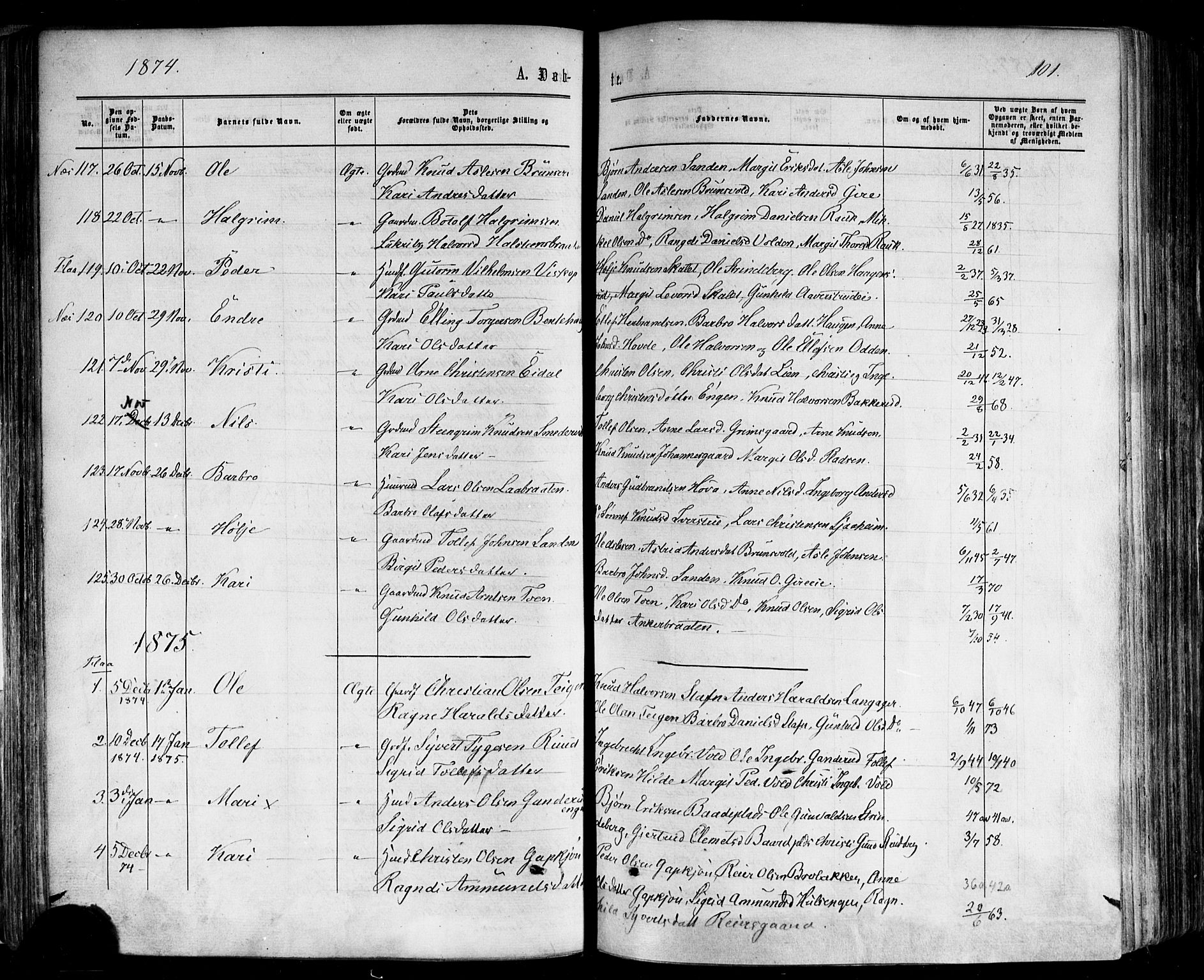 Nes kirkebøker, SAKO/A-236/F/Fa/L0010: Parish register (official) no. 10, 1864-1880, p. 101