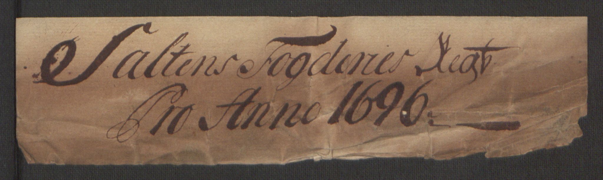 Rentekammeret inntil 1814, Reviderte regnskaper, Fogderegnskap, AV/RA-EA-4092/R66/L4578: Fogderegnskap Salten, 1694-1696, p. 196