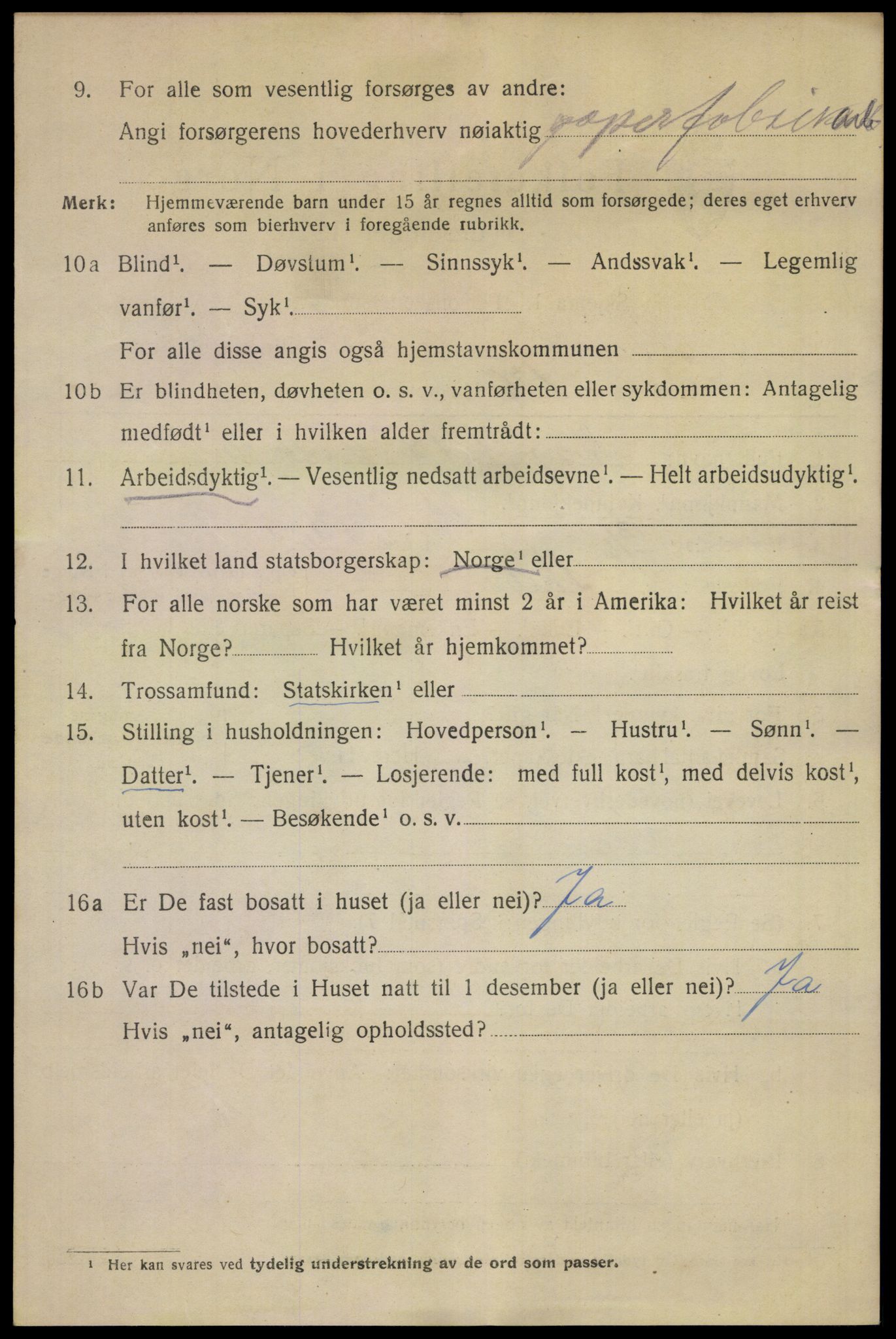 SAKO, 1920 census for Skien, 1920, p. 43525