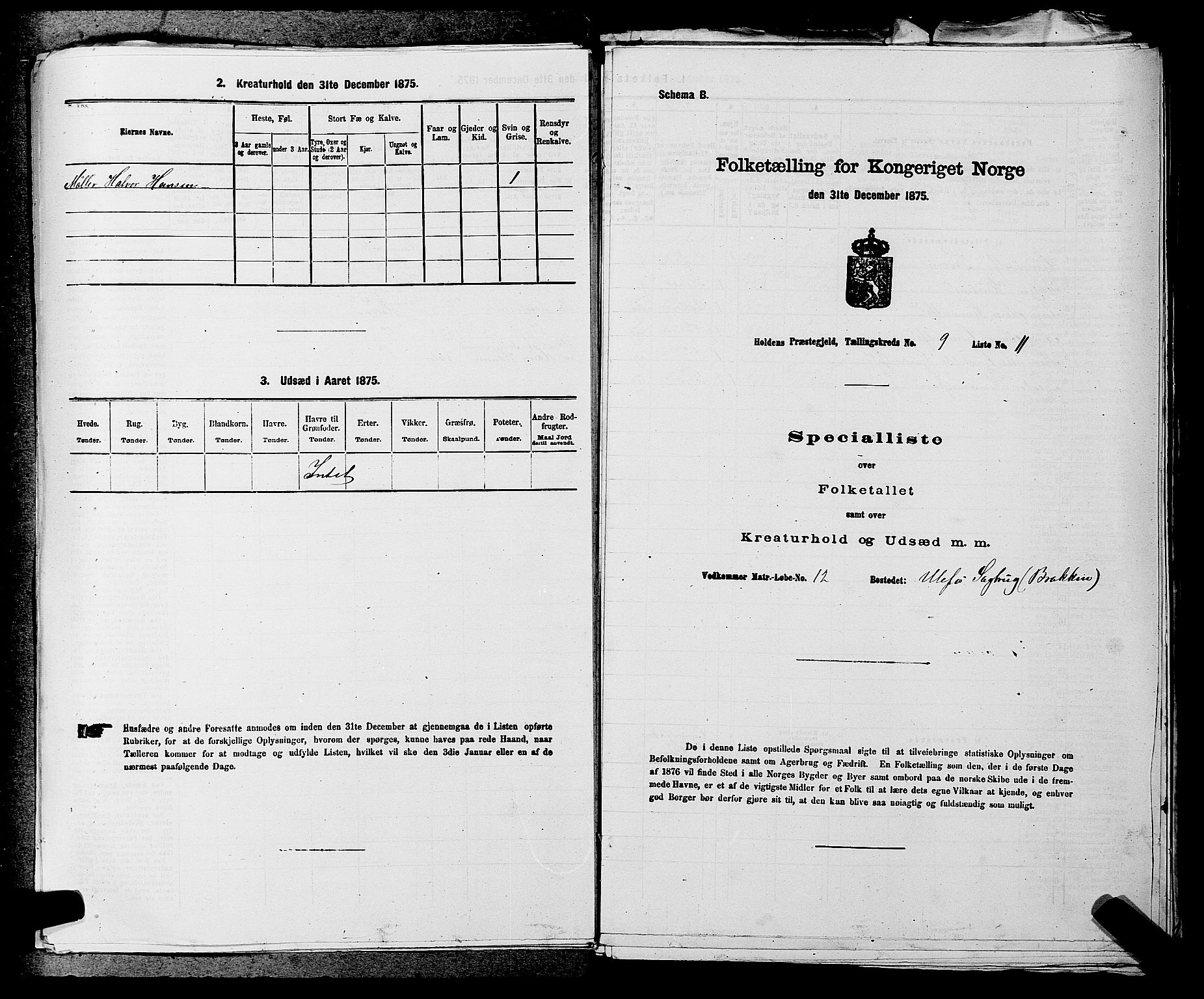 SAKO, 1875 census for 0819P Holla, 1875, p. 1098