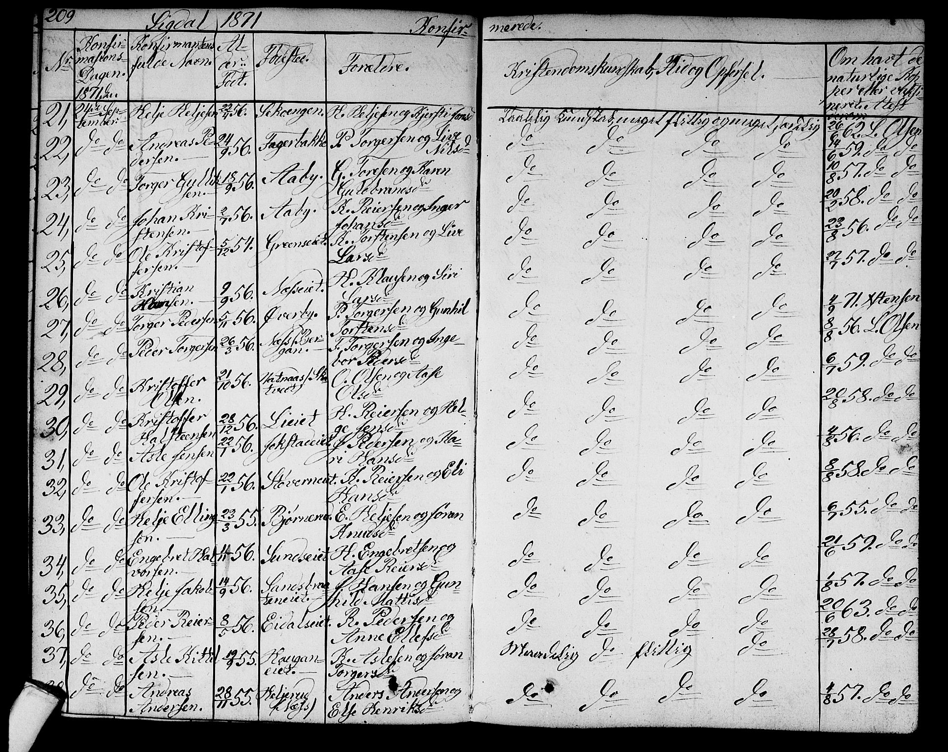 Sigdal kirkebøker, AV/SAKO-A-245/G/Ga/L0003: Parish register (copy) no. I 3, 1857-1878, p. 209