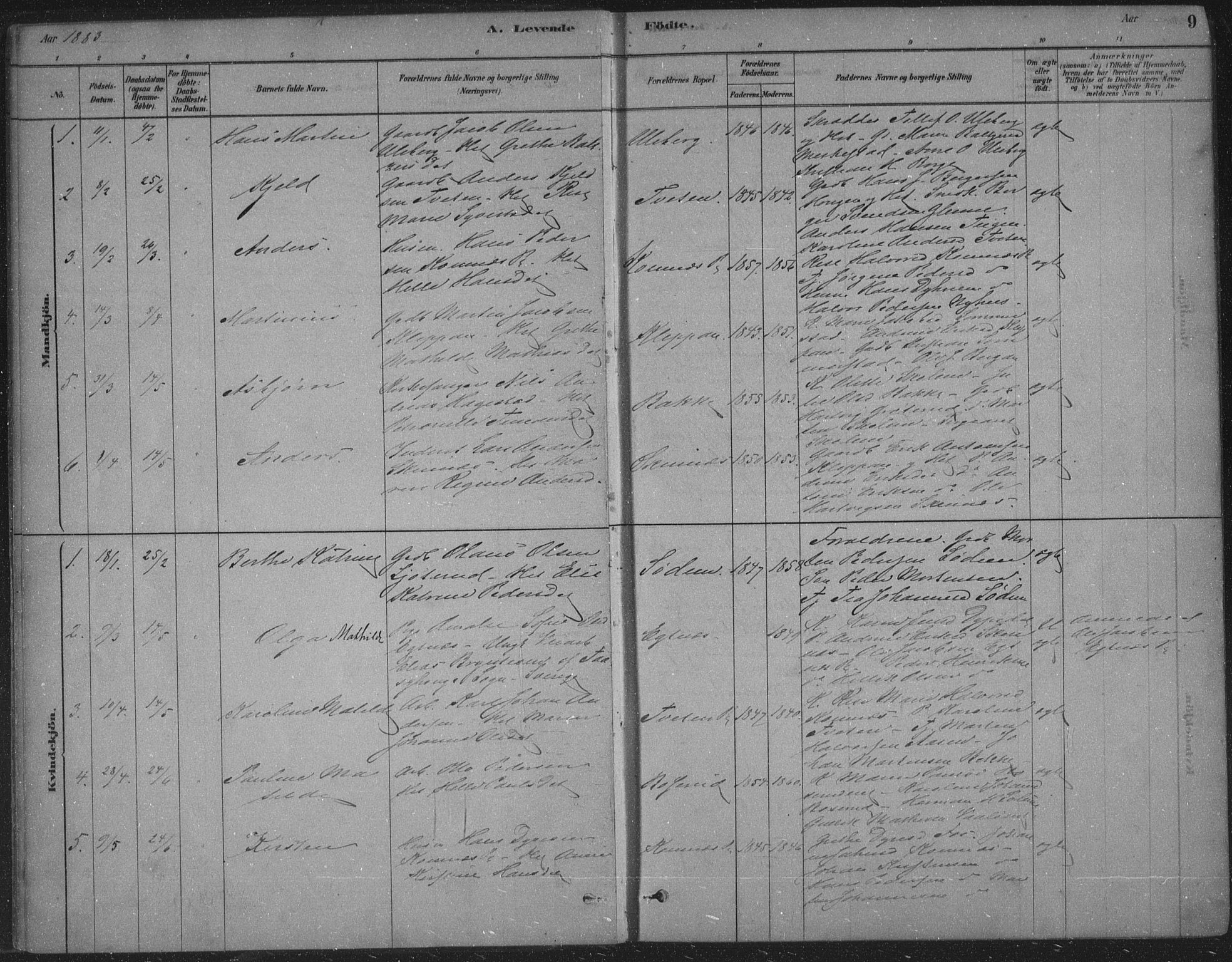 Sandsvær kirkebøker, SAKO/A-244/F/Fe/L0001: Parish register (official) no. V 1, 1878-1936, p. 9