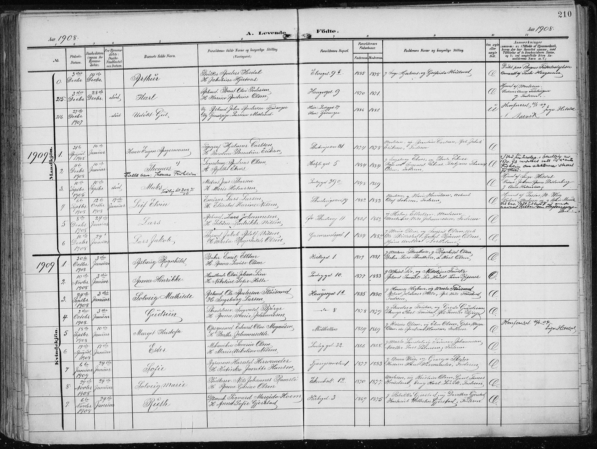 Sandviken Sokneprestembete, AV/SAB-A-77601/H/Ha/L0006: Parish register (official) no. B 3, 1901-1912, p. 210