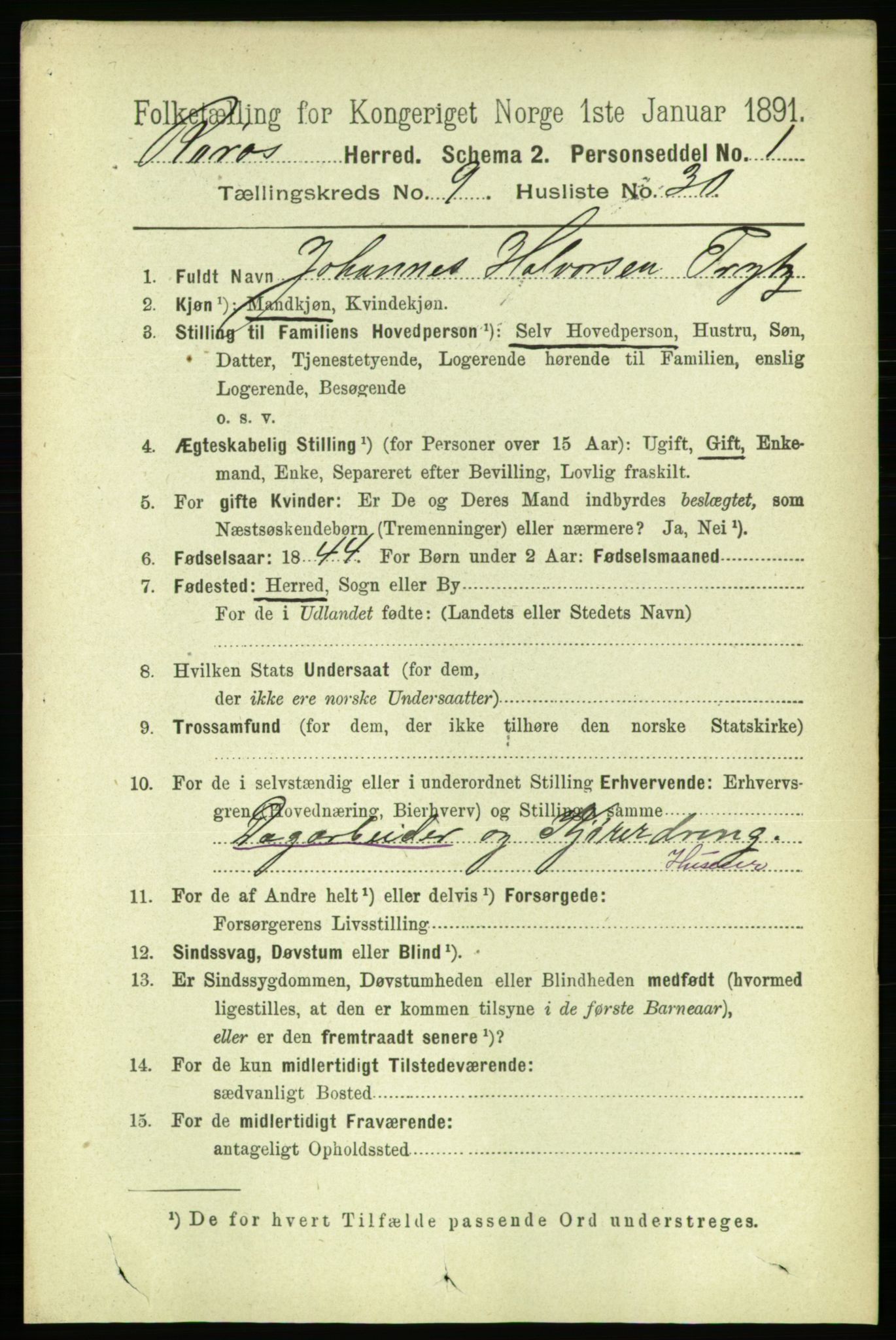 RA, 1891 census for 1640 Røros, 1891, p. 1975