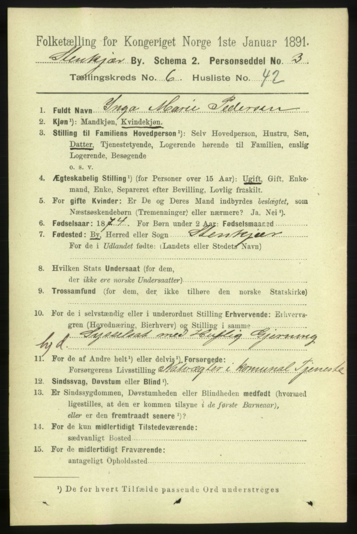 RA, 1891 census for 1702 Steinkjer, 1891, p. 2515