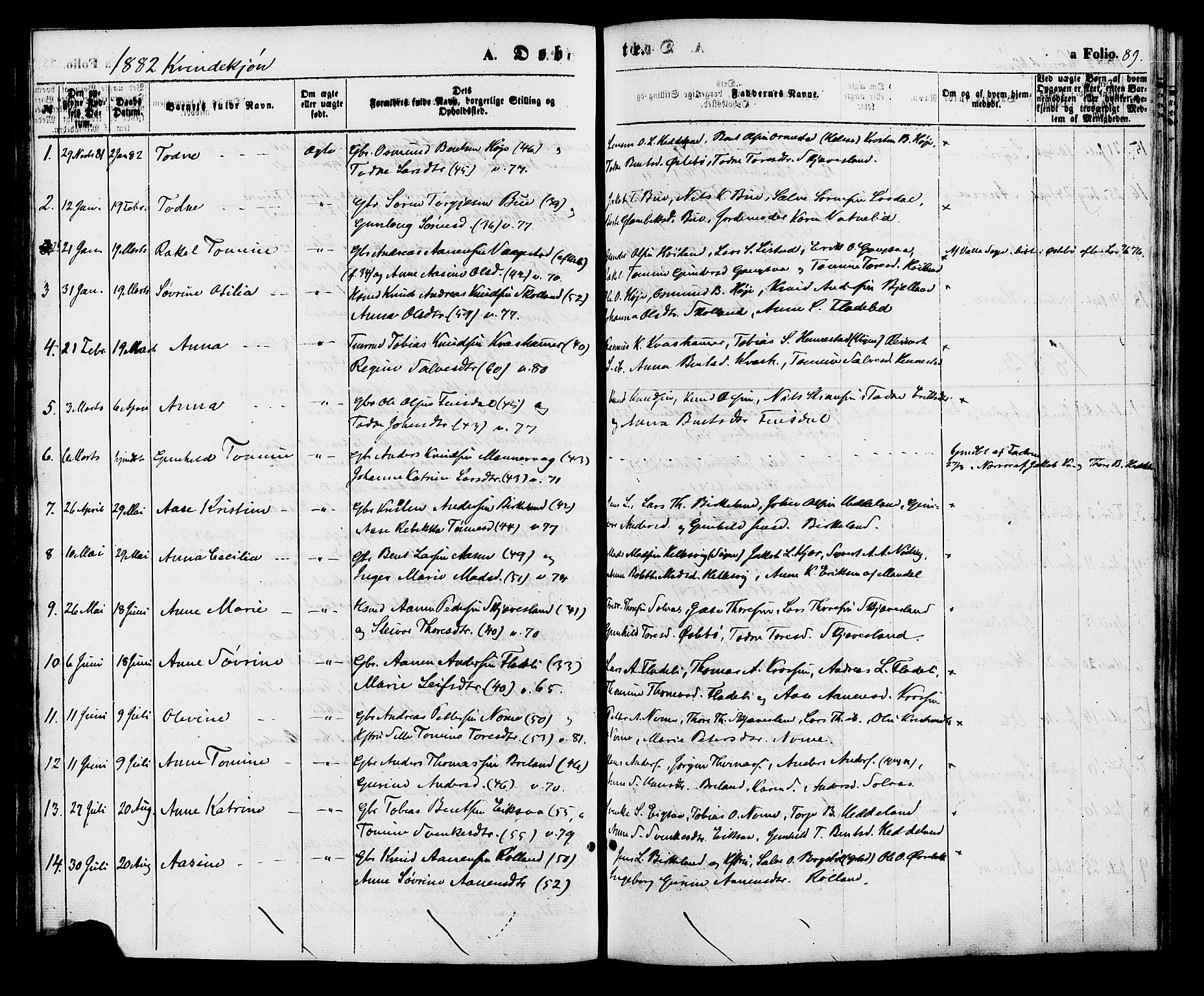 Holum sokneprestkontor, AV/SAK-1111-0022/F/Fa/Fac/L0003: Parish register (official) no. A 3, 1860-1883, p. 89