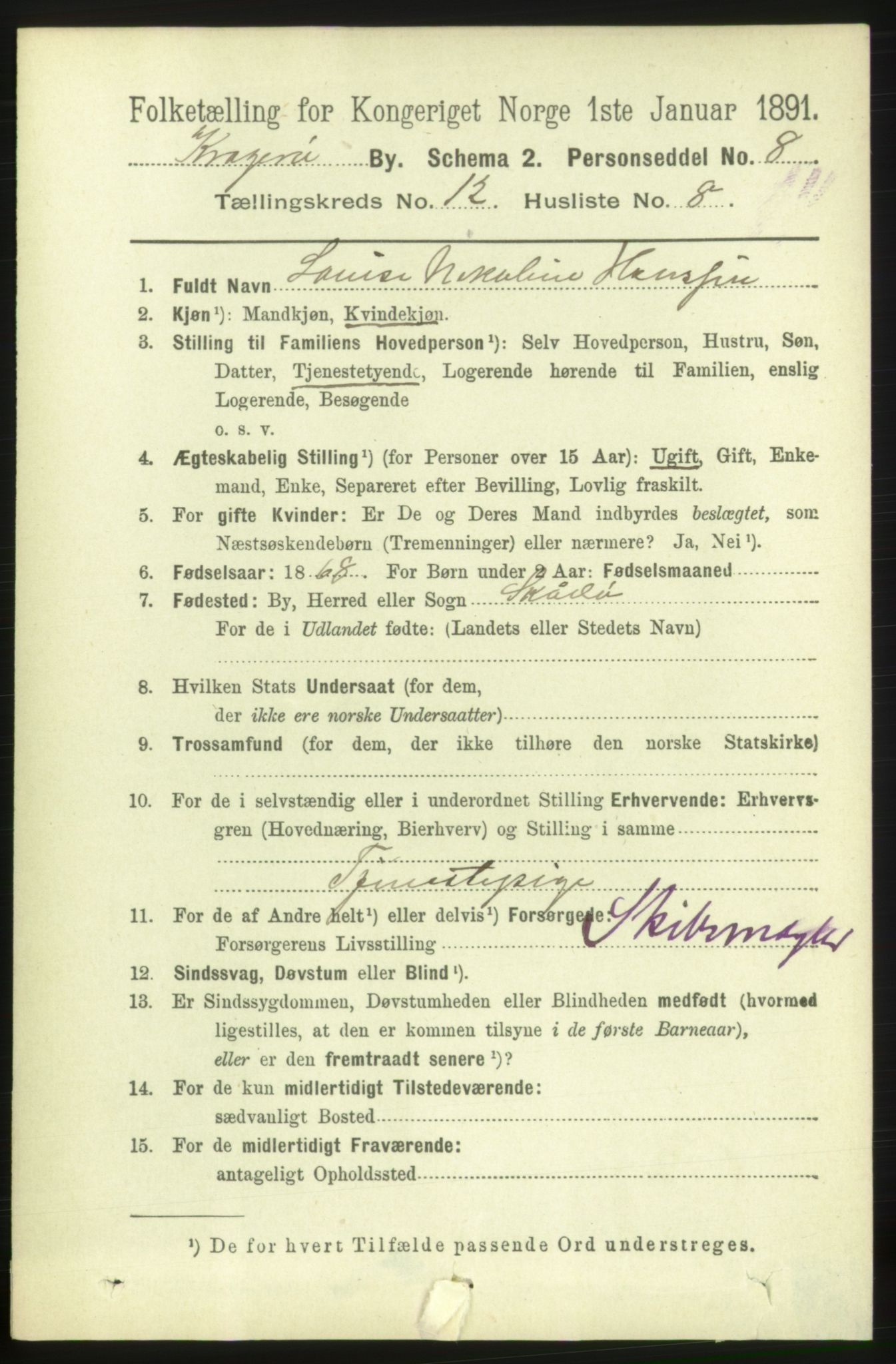 RA, 1891 census for 0801 Kragerø, 1891, p. 3972