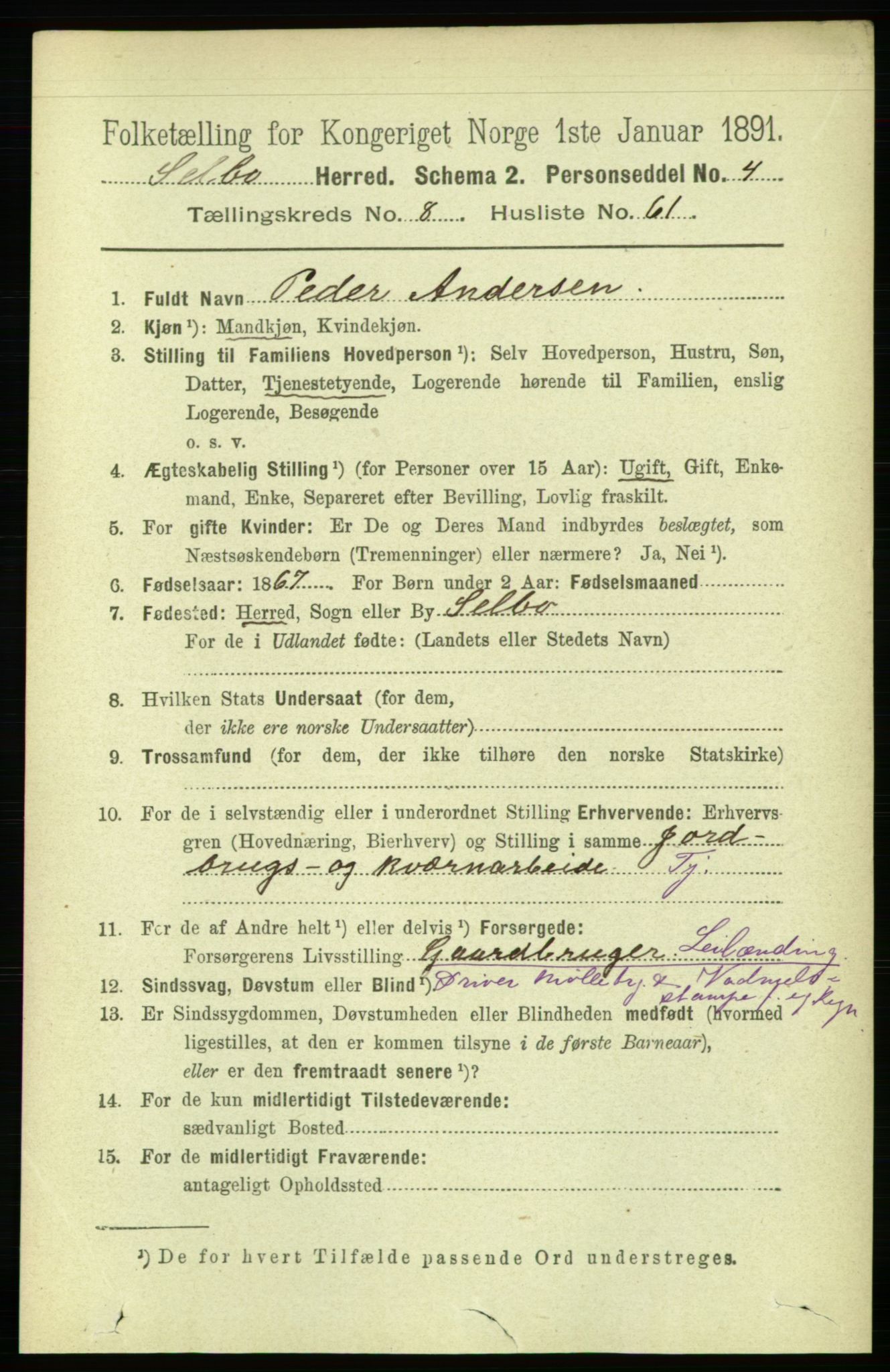 RA, 1891 census for 1664 Selbu, 1891, p. 3297