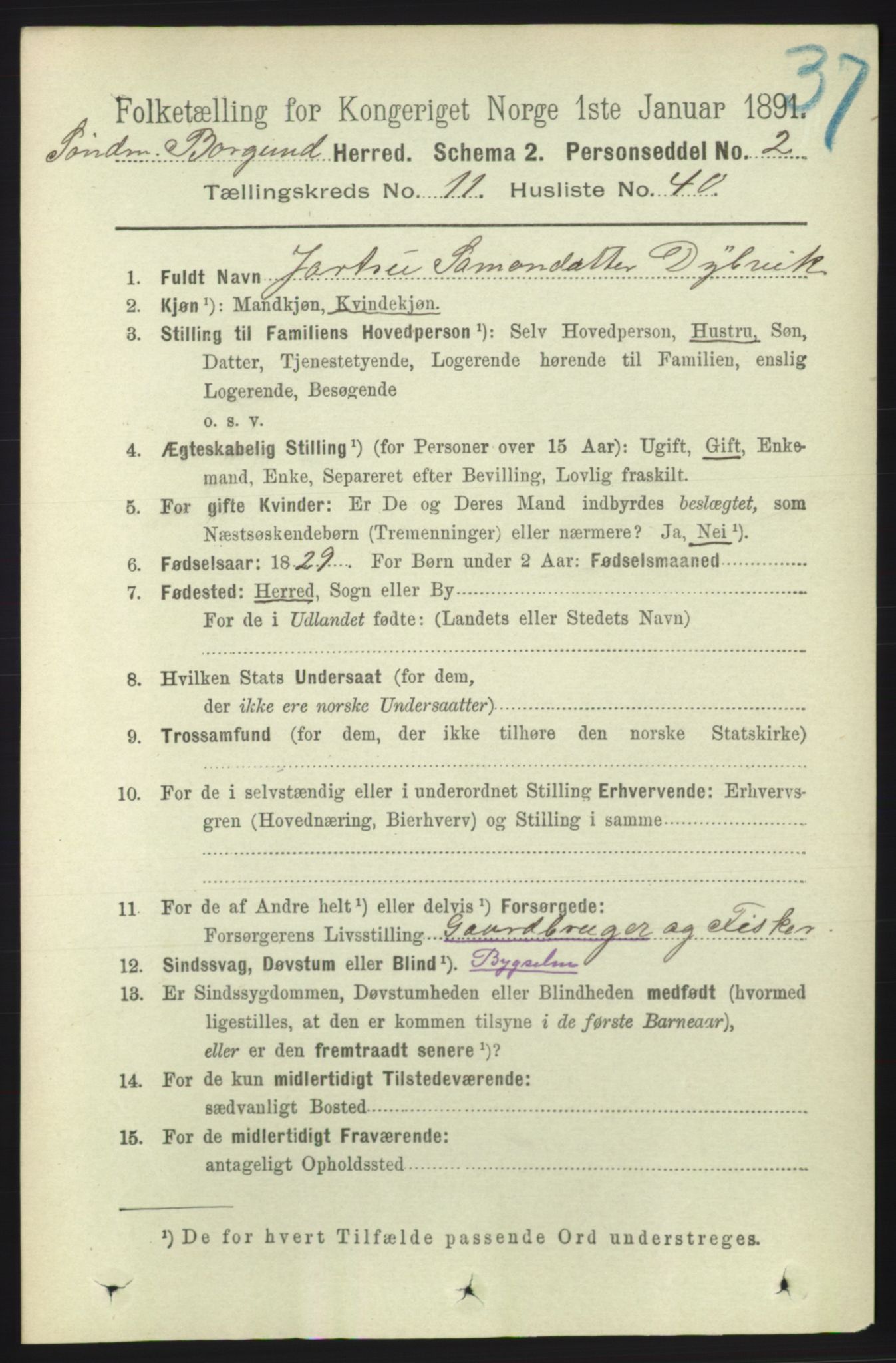 RA, 1891 census for 1531 Borgund, 1891, p. 2994