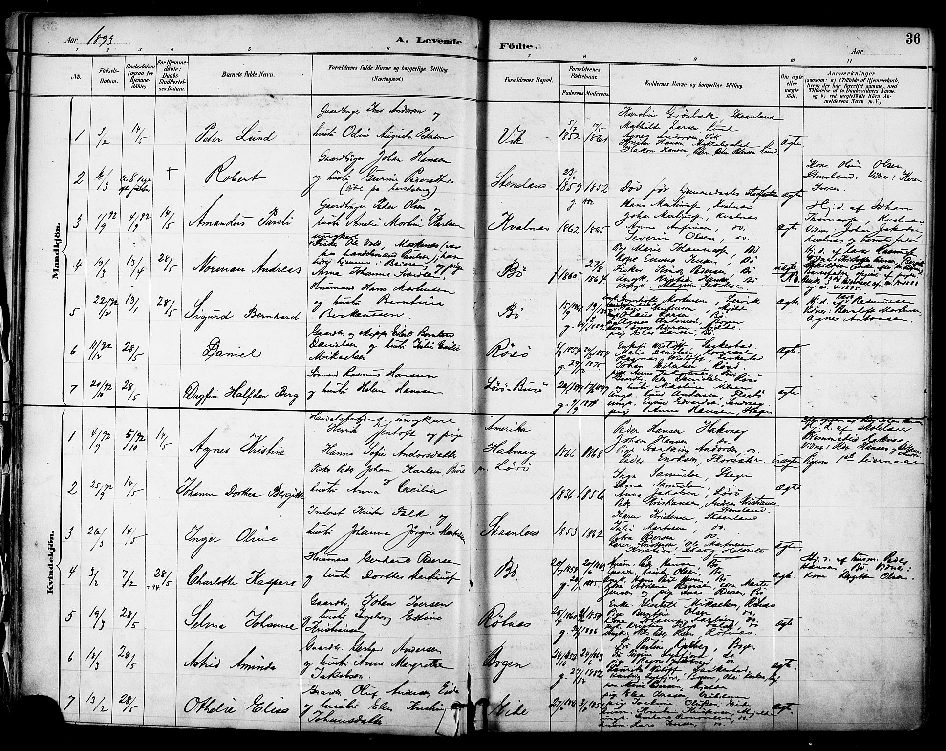Ministerialprotokoller, klokkerbøker og fødselsregistre - Nordland, SAT/A-1459/855/L0803: Parish register (official) no. 855A11, 1887-1905, p. 36
