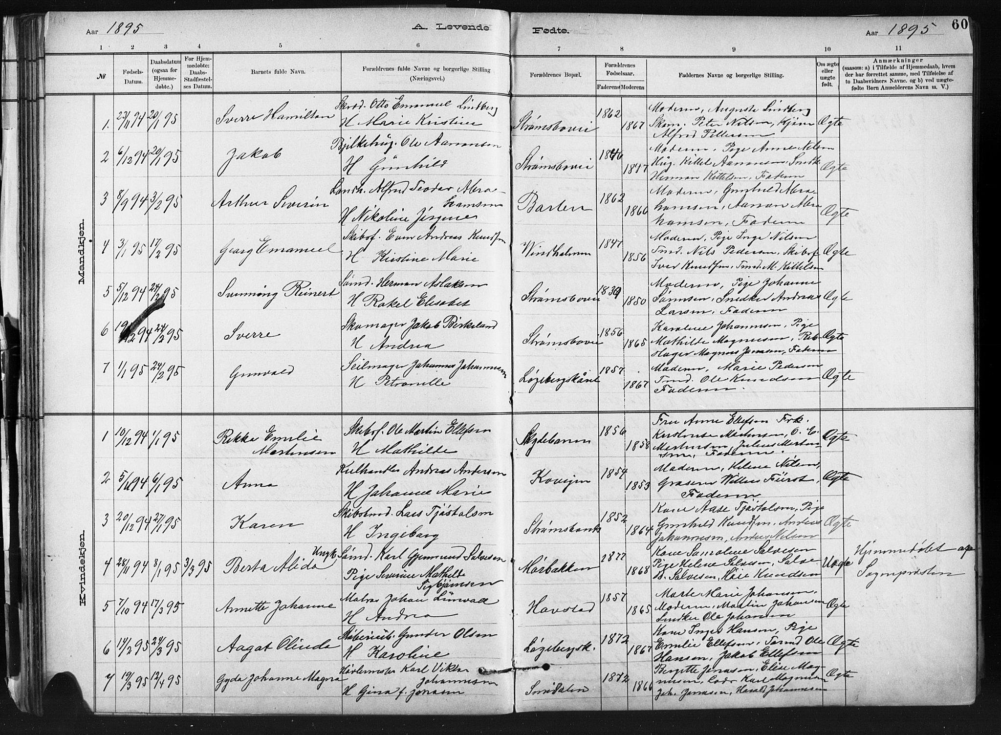 Barbu sokneprestkontor, AV/SAK-1111-0003/F/Fb/L0002: Parish register (copy) no. B 2, 1890-1922, p. 60