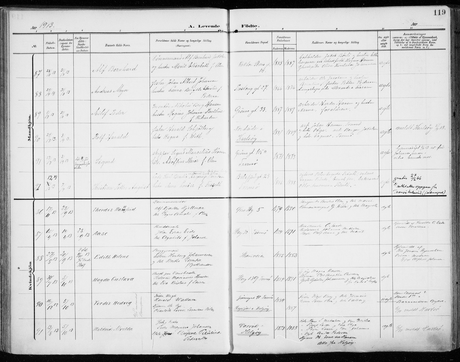 Tromsø sokneprestkontor/stiftsprosti/domprosti, SATØ/S-1343/G/Ga/L0017kirke: Parish register (official) no. 17, 1907-1917, p. 119