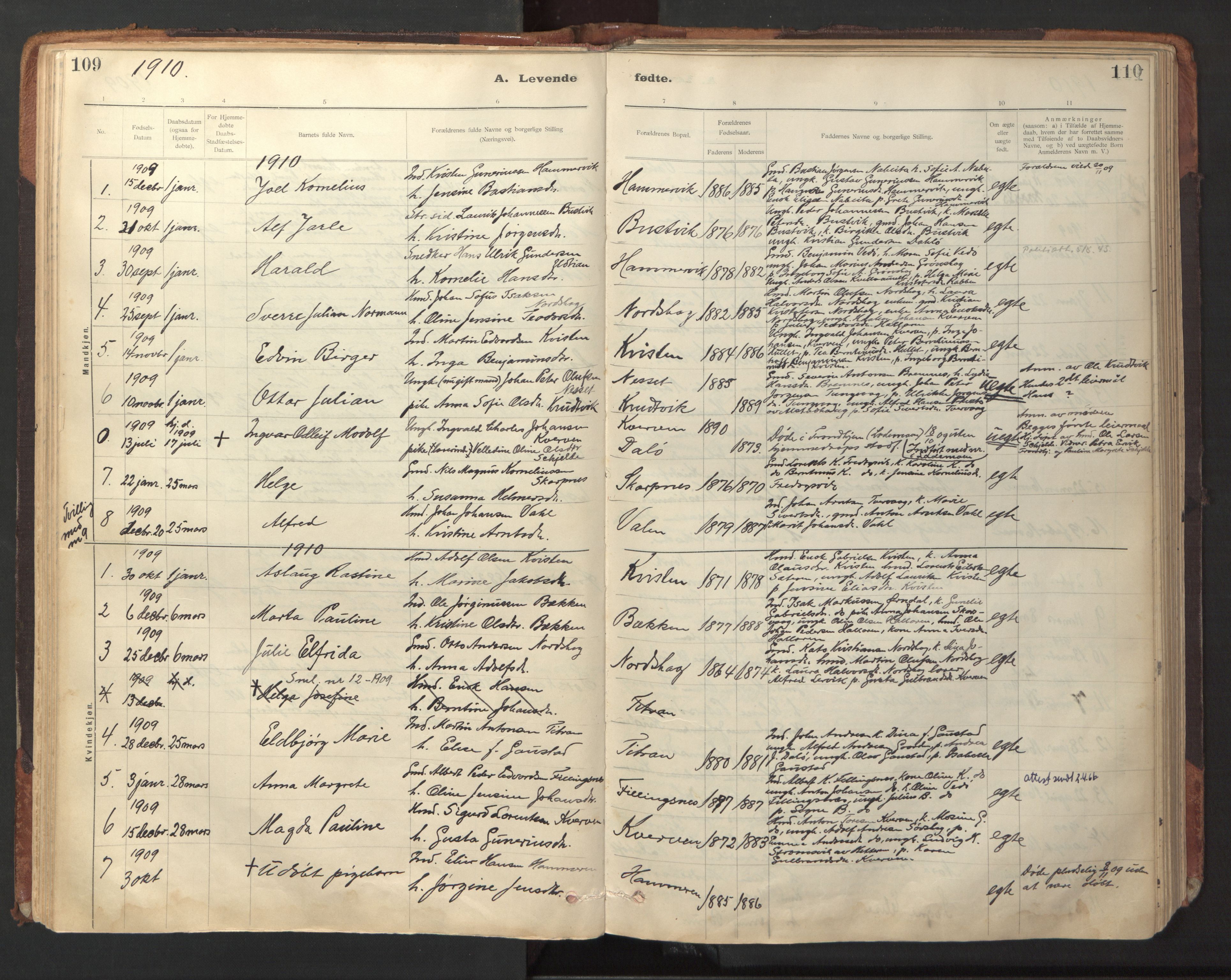 Ministerialprotokoller, klokkerbøker og fødselsregistre - Sør-Trøndelag, SAT/A-1456/641/L0596: Parish register (official) no. 641A02, 1898-1915, p. 109-110