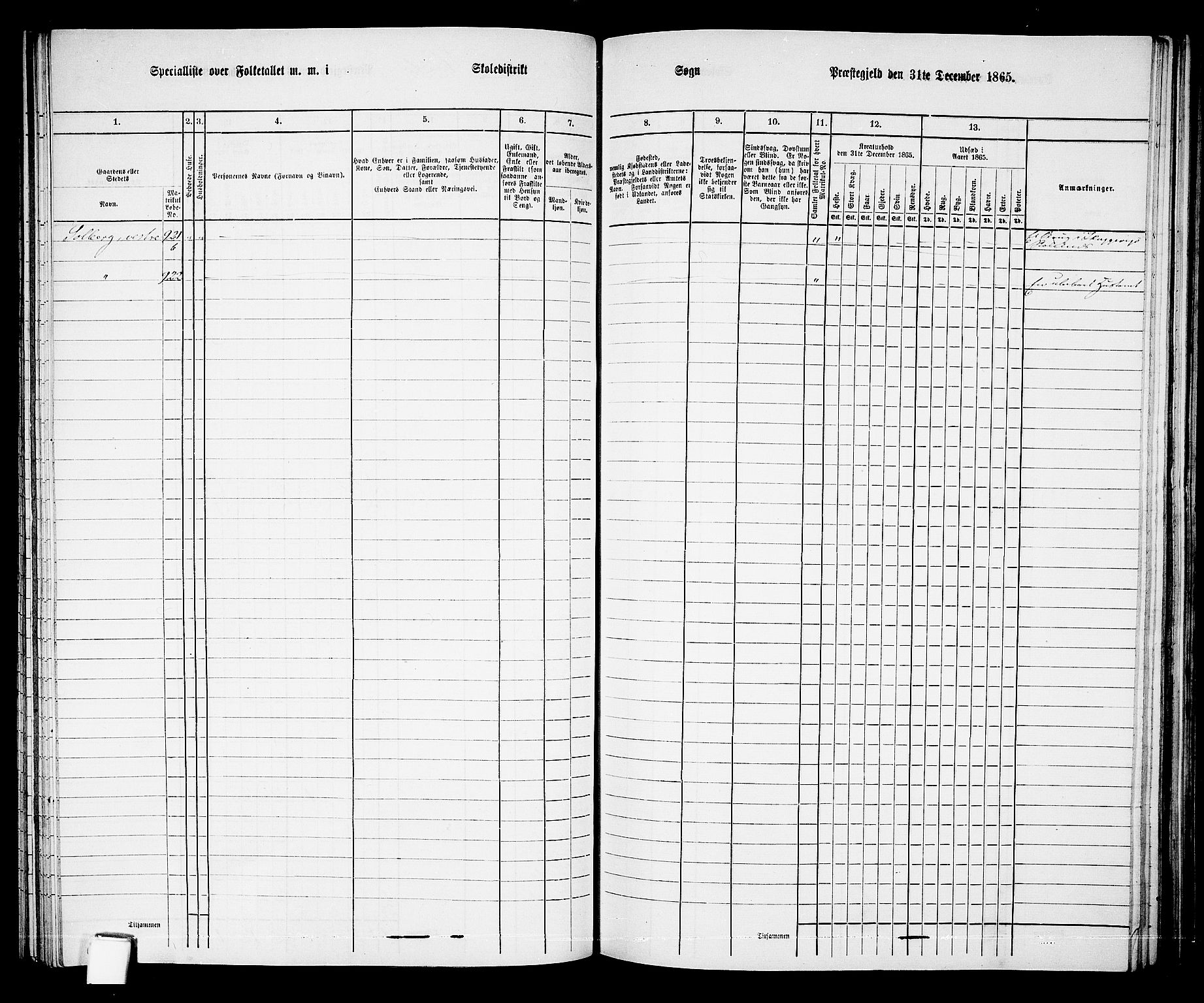 RA, 1865 census for Holt/Holt, 1865, p. 104