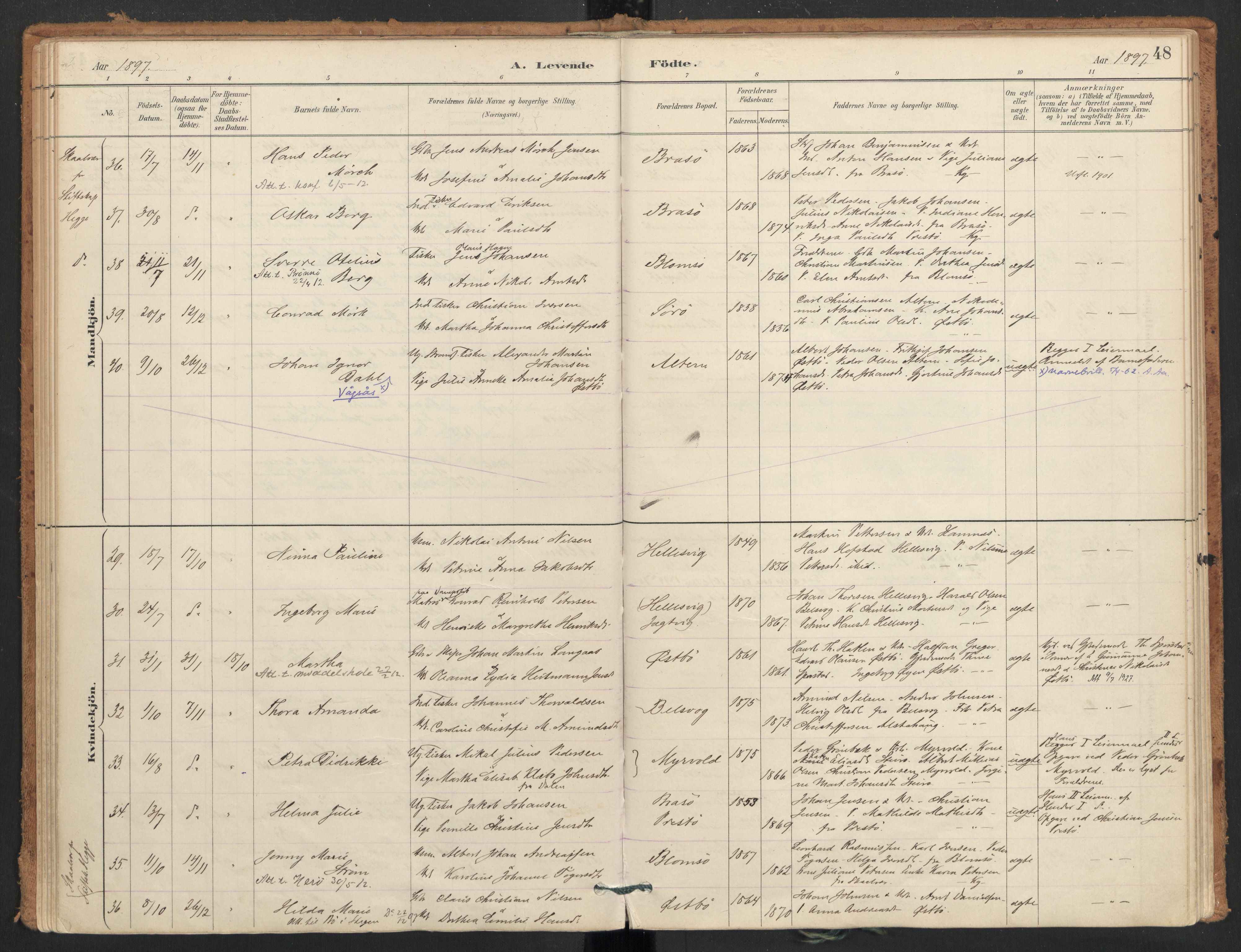 Ministerialprotokoller, klokkerbøker og fødselsregistre - Nordland, AV/SAT-A-1459/830/L0453: Parish register (official) no. 830A17, 1886-1911, p. 48