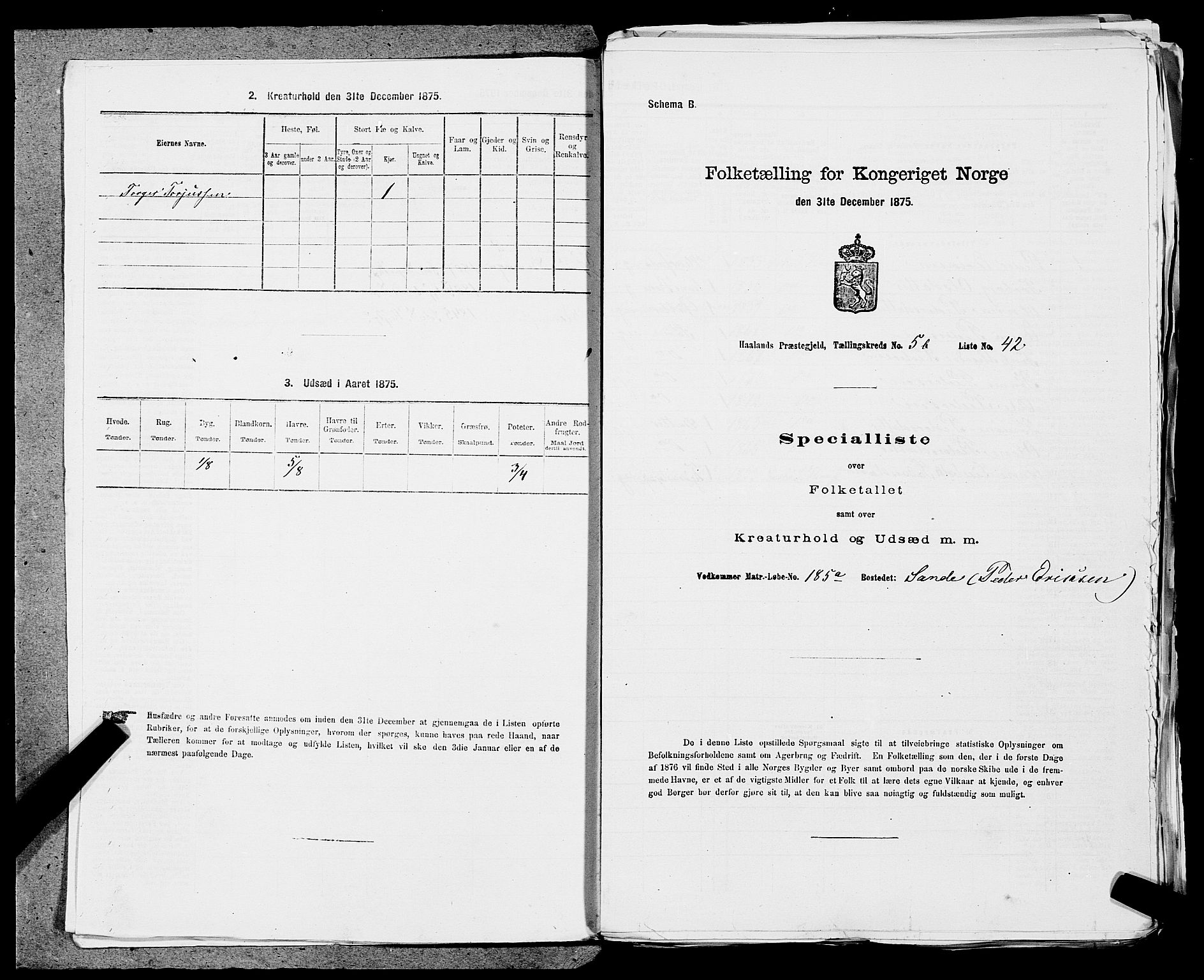 SAST, 1875 census for 1124P Håland, 1875, p. 730