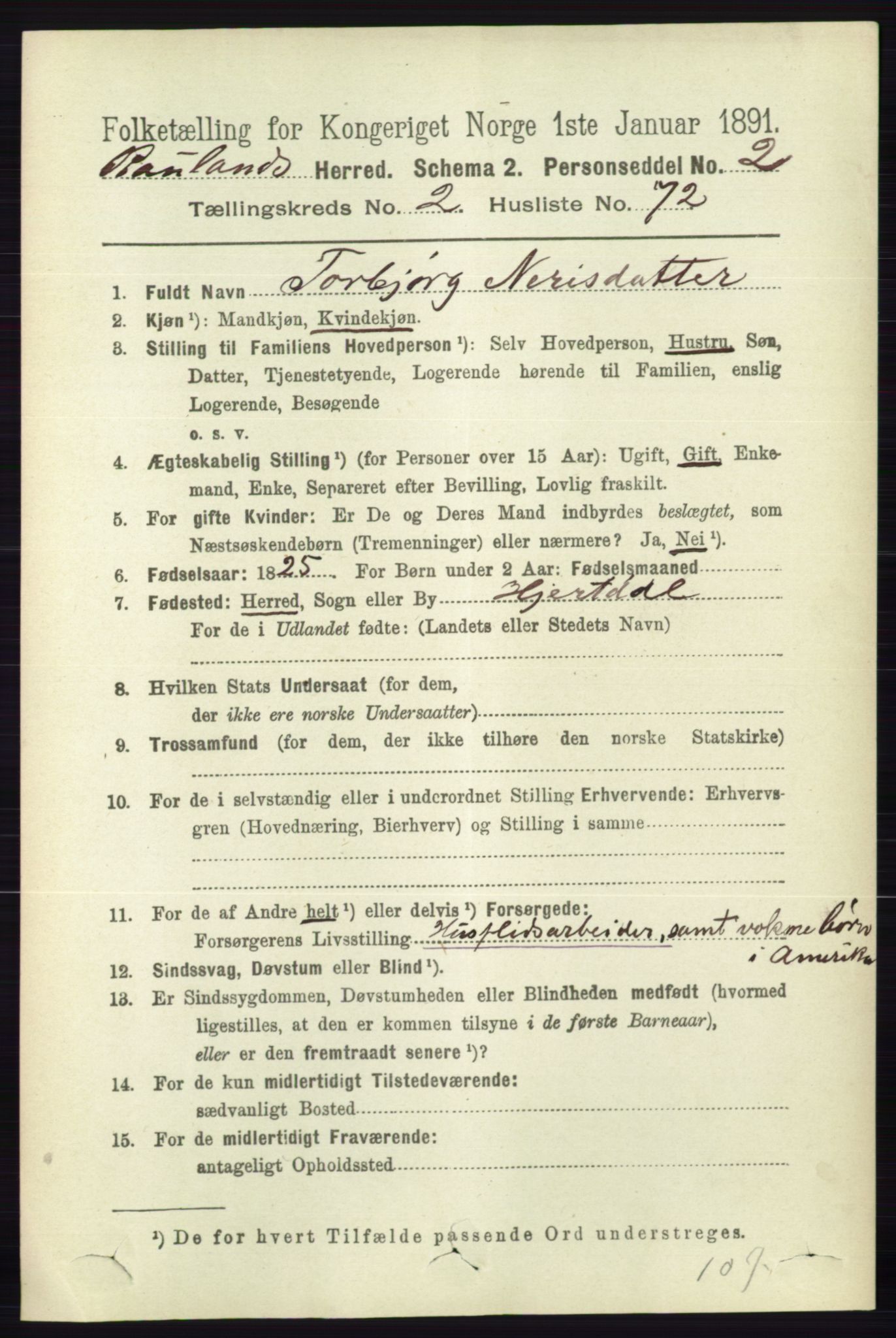 RA, 1891 census for 0835 Rauland, 1891, p. 731